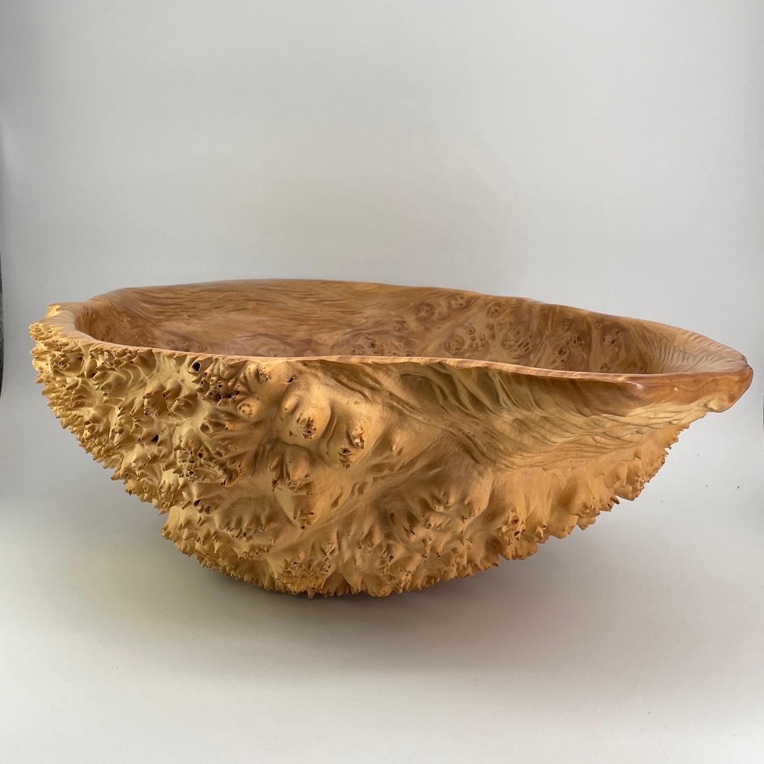 USA, c. 1995. Bob Womack Large Maple Burl Bowl
W 17 ½  × D 14 ⅛  × H 6 in.

