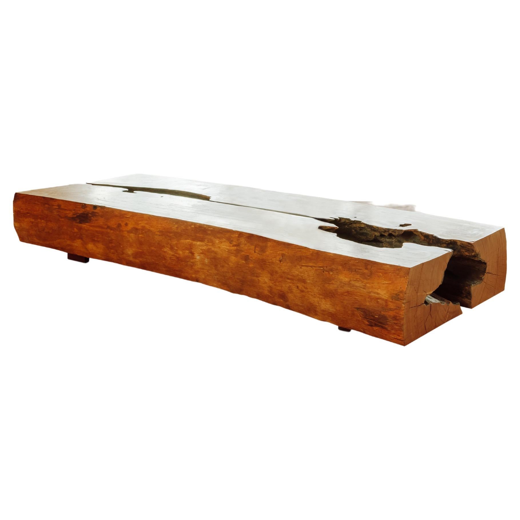 Monumental Brazilian Amazon Coffee Table by M.A.D For Sale