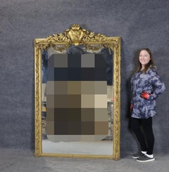 Monumental Carved 19th c Louis XV Gold Leaf Carved Mirror
