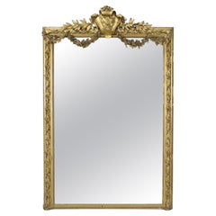Monumental Carved 19th c Louis XV Gold Leaf Carved Mirror