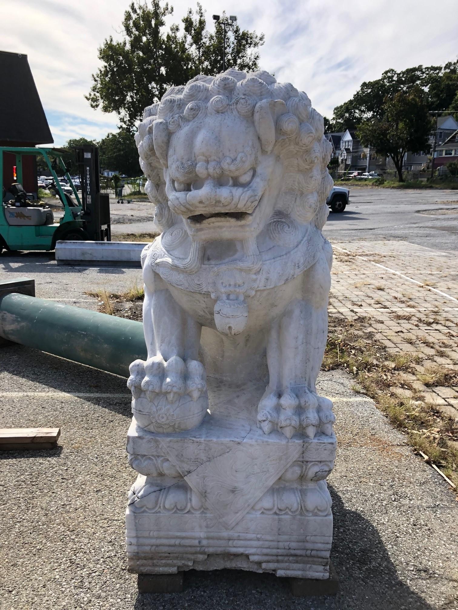 Monumental Carved Pair of Marble Foo Dogs from China In Good Condition For Sale In Stamford, CT