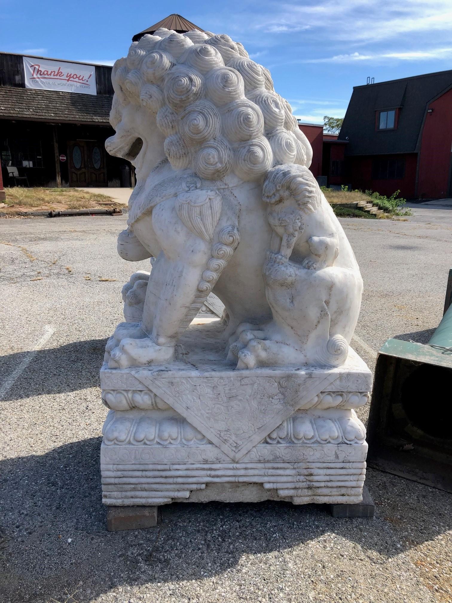 Monumental Carved Pair of Marble Foo Dogs from China For Sale 2