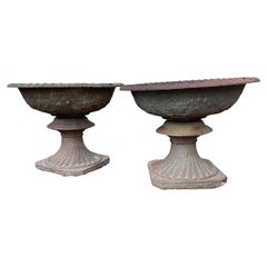 Monumental Cast Iron Urns with Foliate and Grape Design