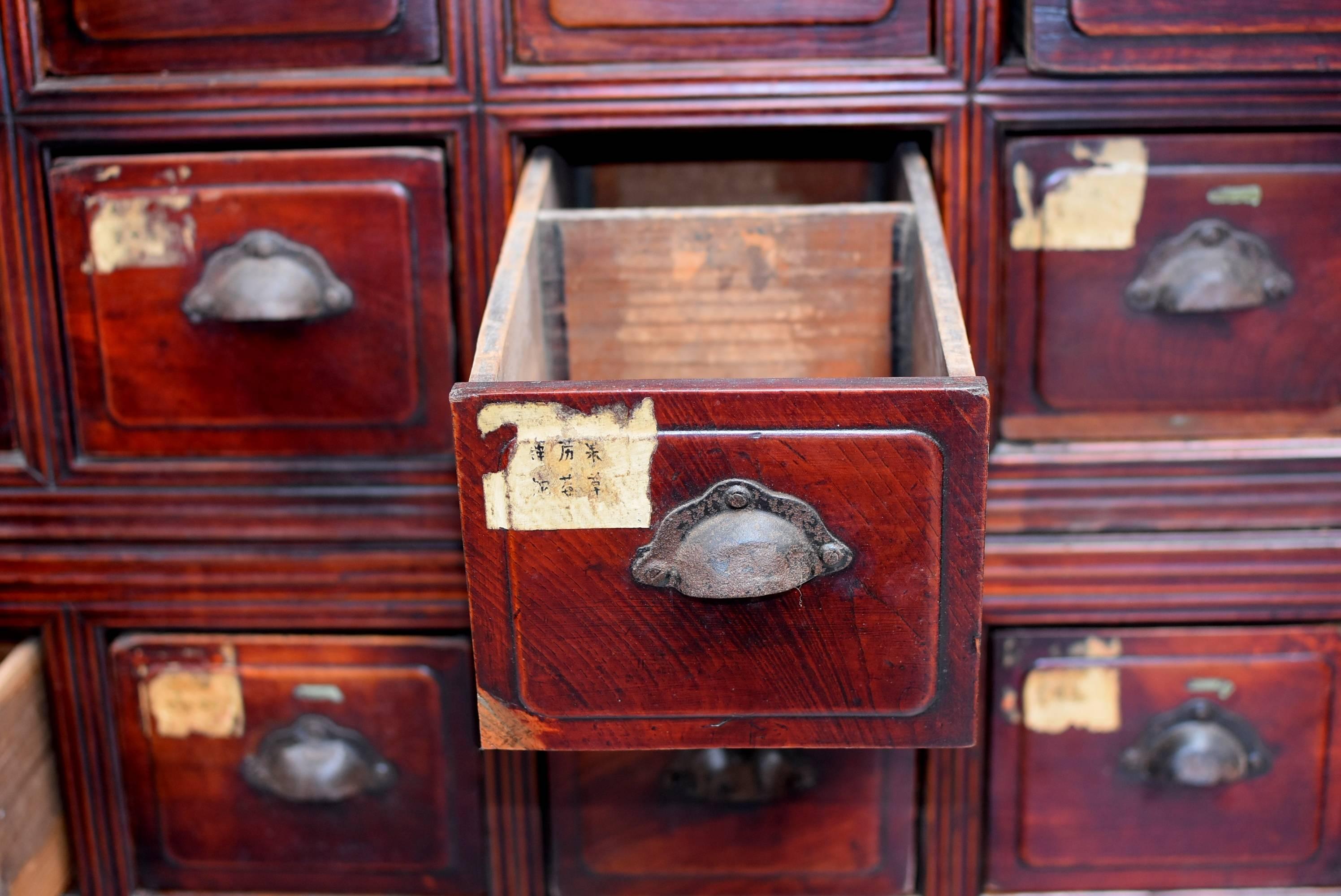 Monumental Chinese Apothecary Chest, 87