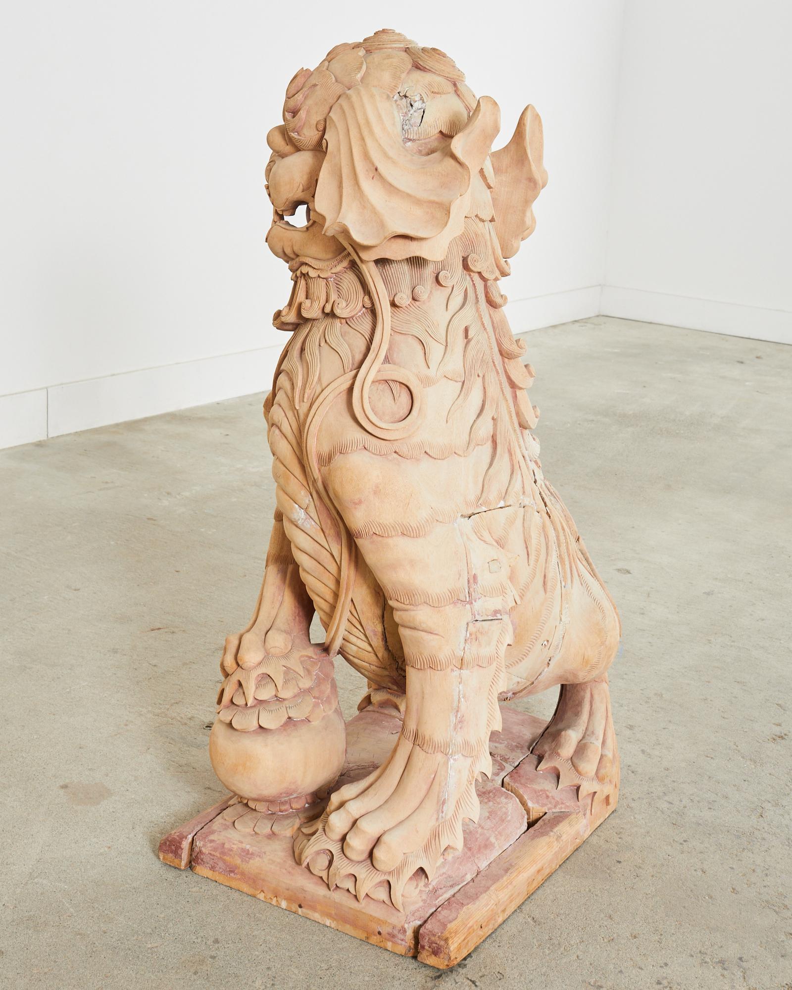 Monumental Chinese Carved Wooden Foo Dog Lion Temple Sculpture For Sale 11