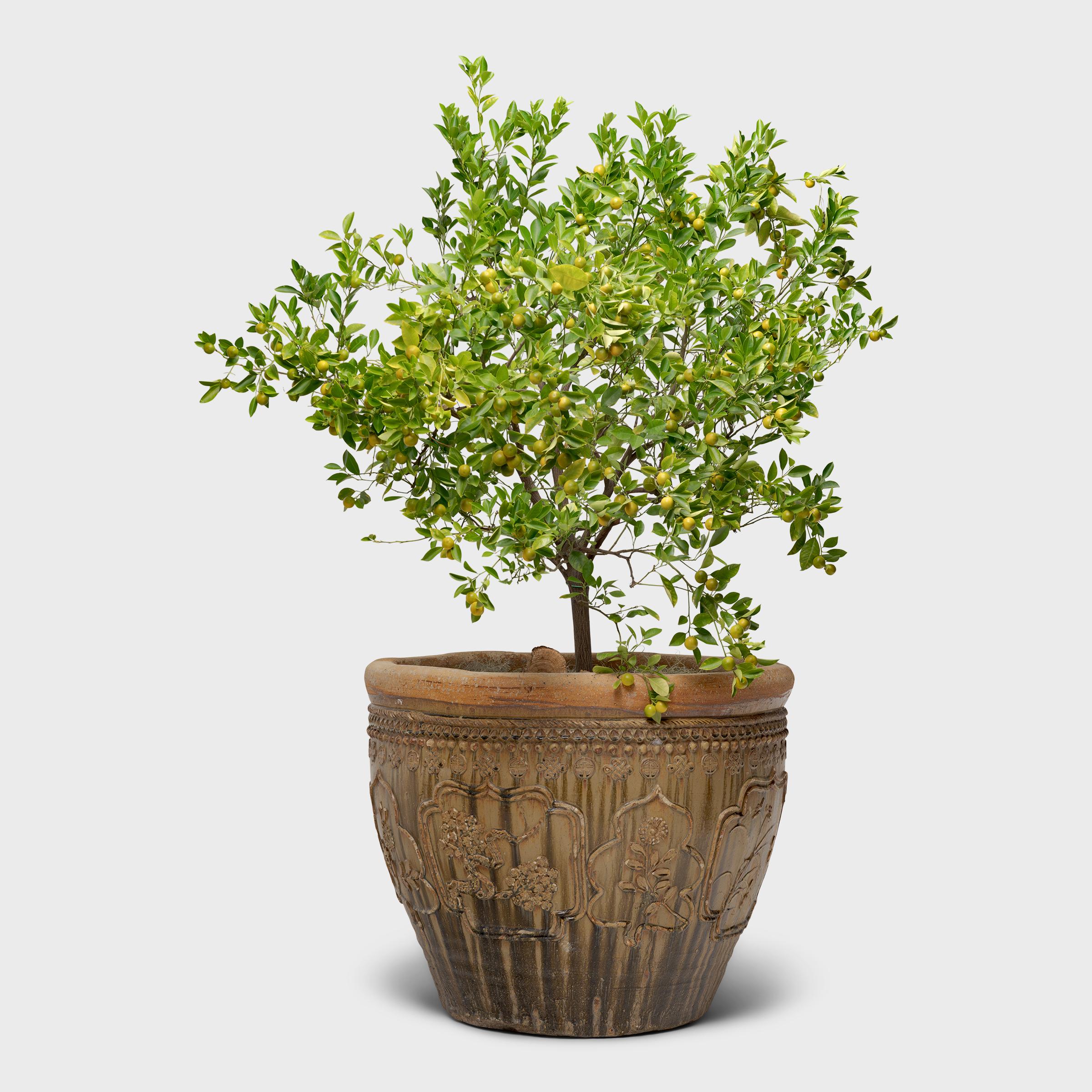Dieses großformatige Keramikgefäß wurde Anfang des 20. Jahrhunderts in Nordchina in Handarbeit hergestellt und mit einem Hochrelief aus Medaillons versehen, die florale Motive einrahmen. Die Vase ist innen und außen mit einer ockerfarbenen,