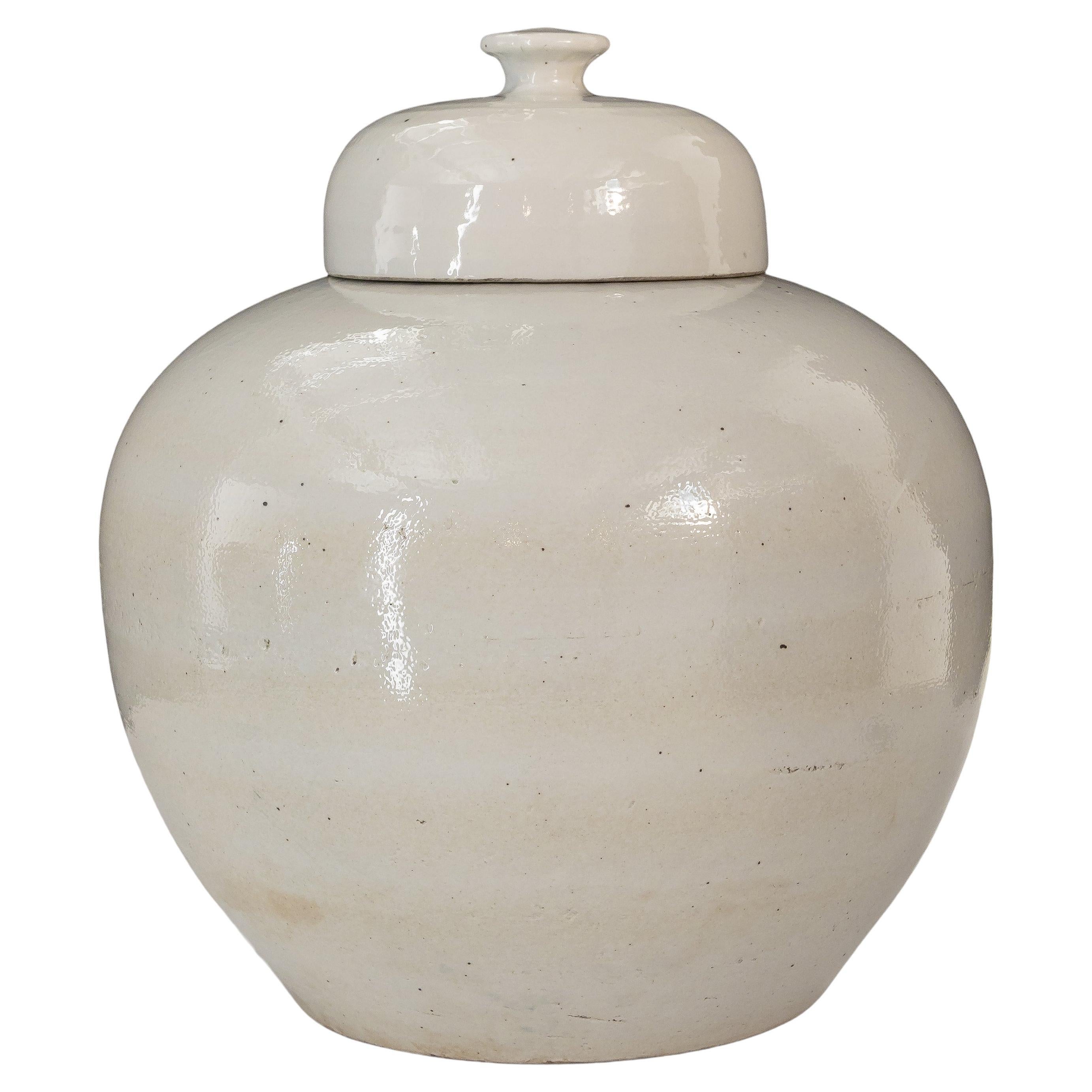 Monumental Chinese Ginger Jar For Sale