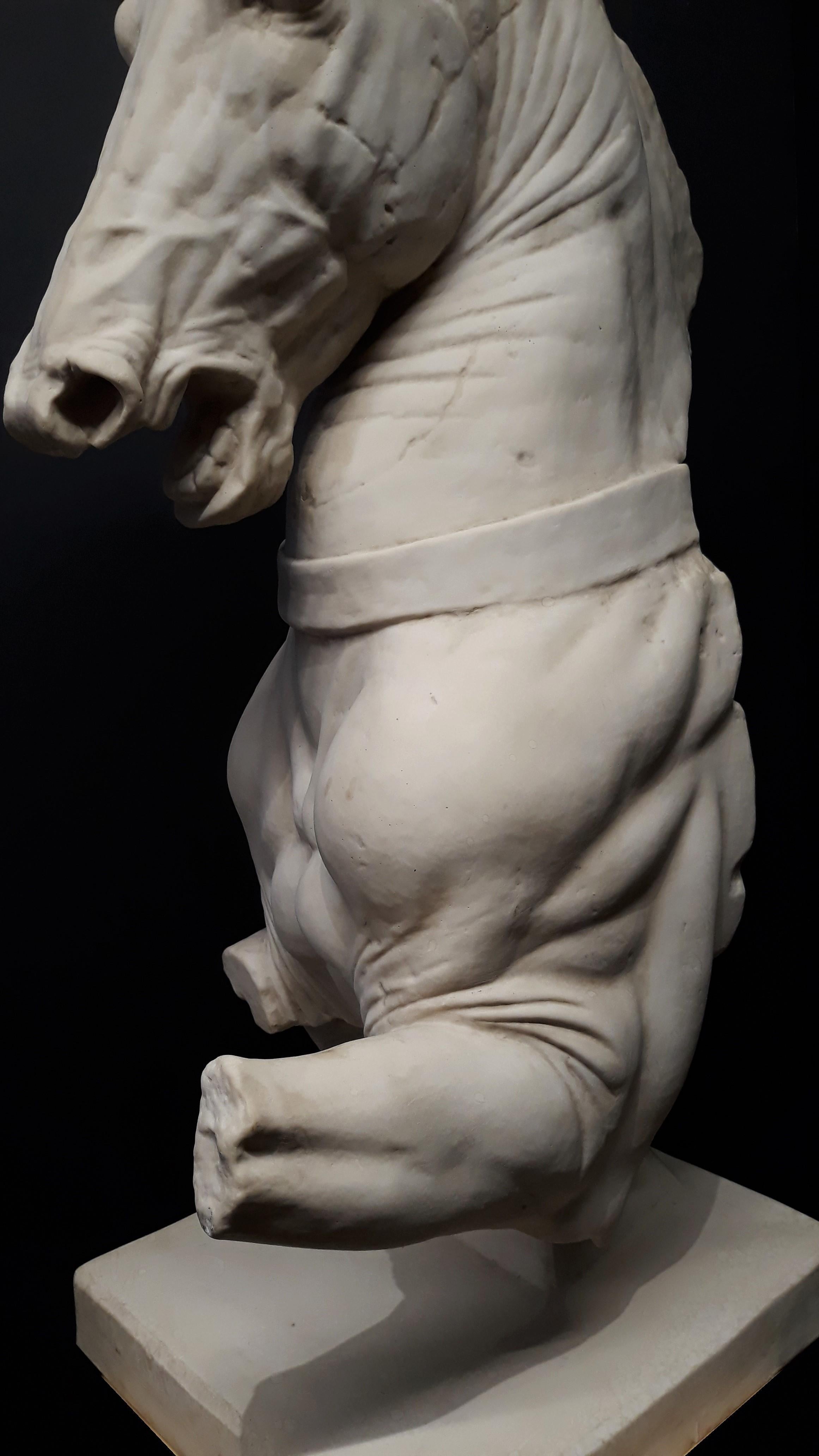horse head statue london