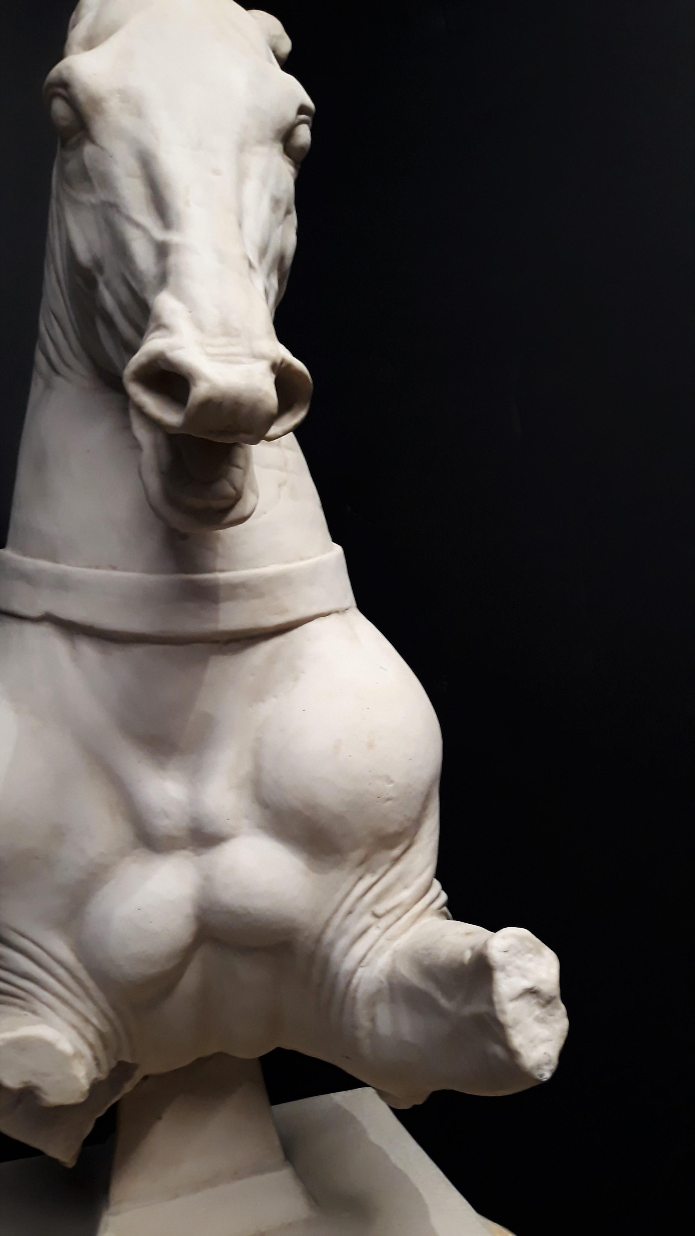 Plaster Monumental Continental Horse Sculpture For Sale