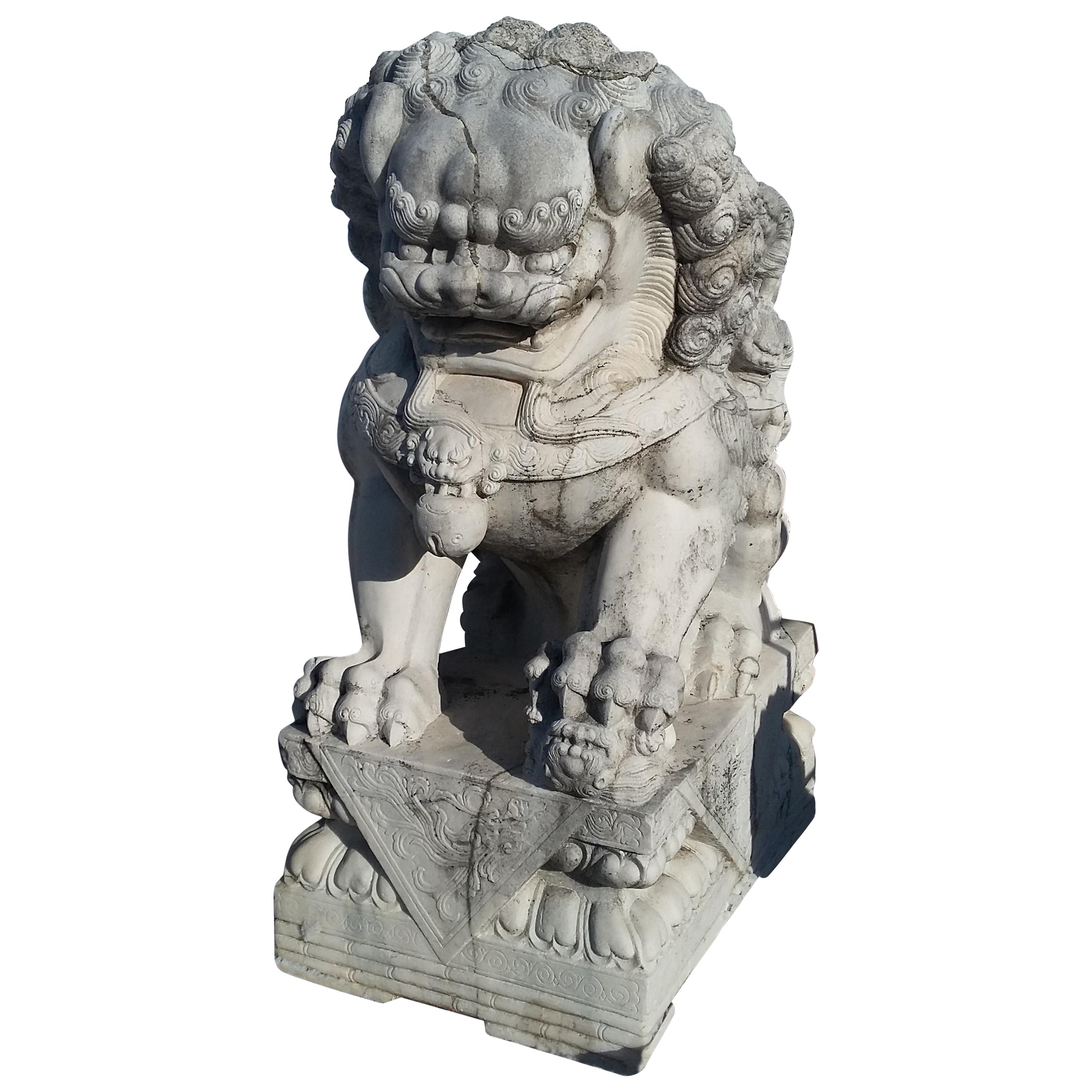 Superbe paire de chiens de combat monumentaux en marbre sculpté provenant de Chine. Chaque statue mesure 63 x 26 x 37 et a un poids substantiel. Récupérée dans une propriété new-yorkaise dans les années 1980. Ils présentent une belle patine au fil