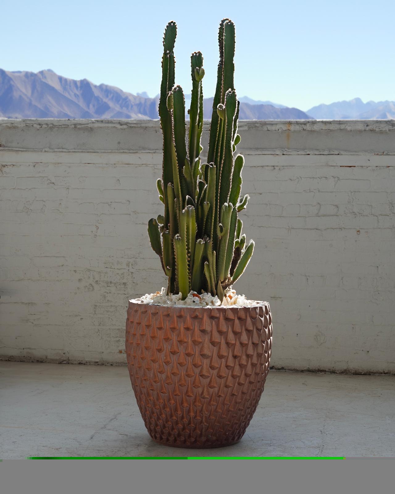 Monumental David Cressey Phoenix-1 Planter In Good Condition For Sale In Chicago, IL
