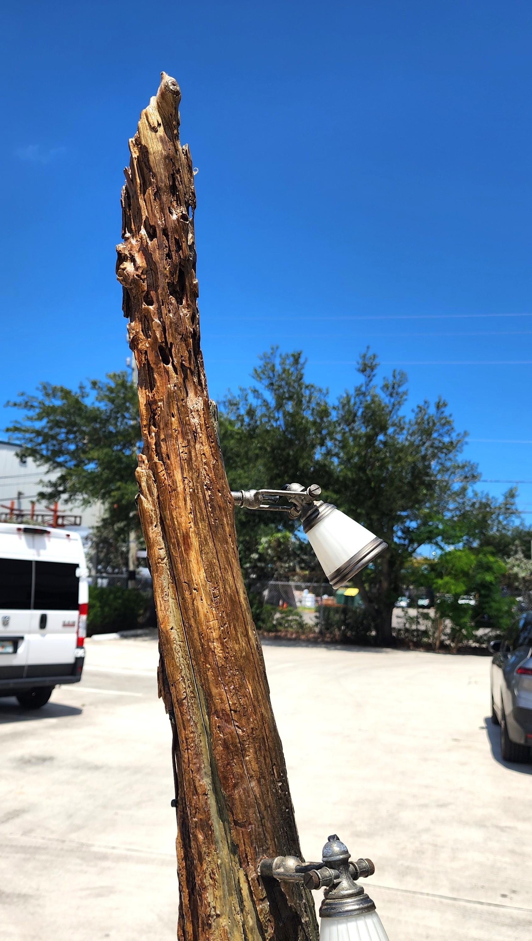 Lámpara de pie monumental de madera de deriva con mesa en venta 6