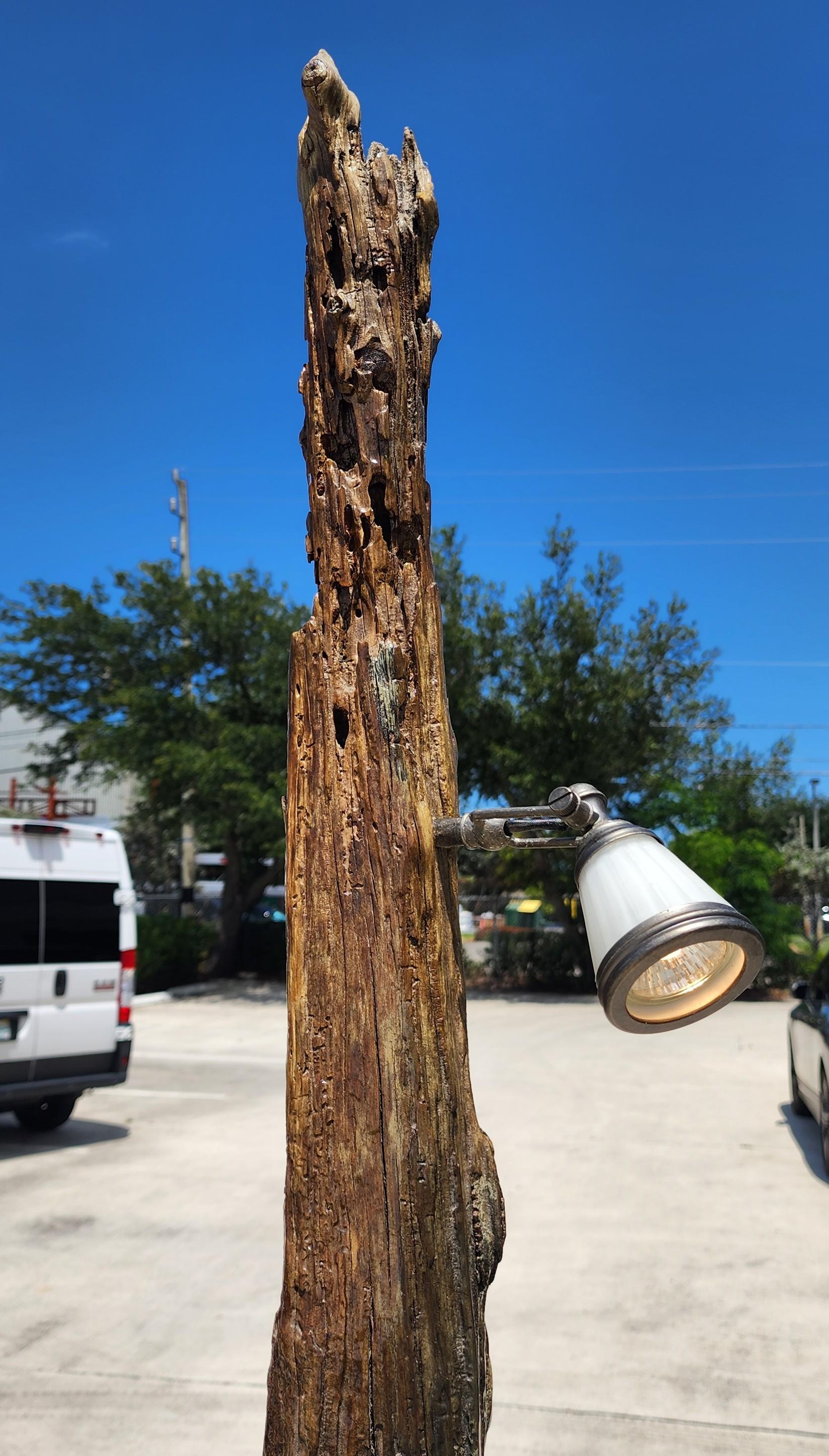 Lámpara de pie monumental de madera de deriva con mesa en venta 2