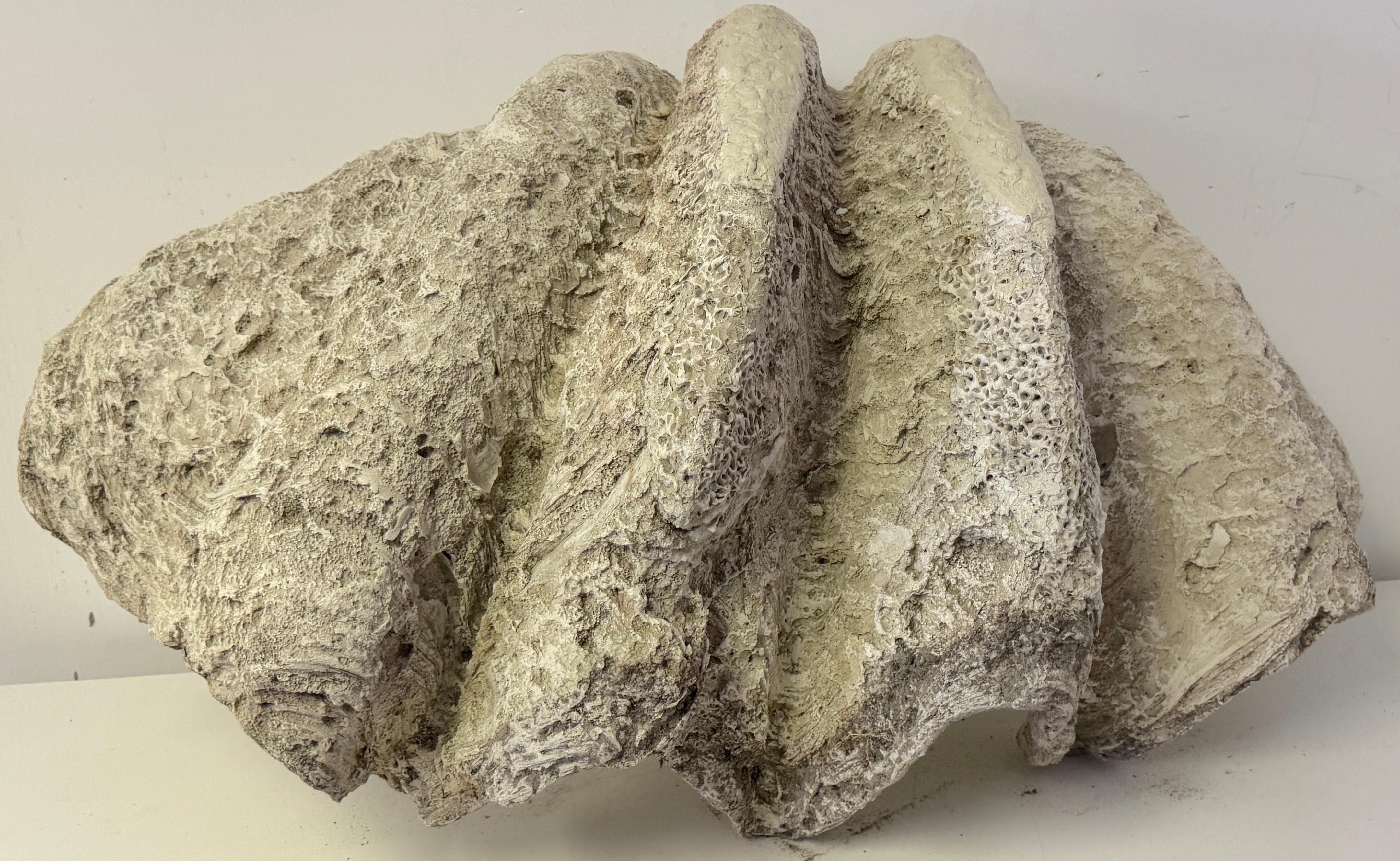 Monumental Faux Giant Clam Shell Fiberglass/Resin Authentic Weathered Patina 40