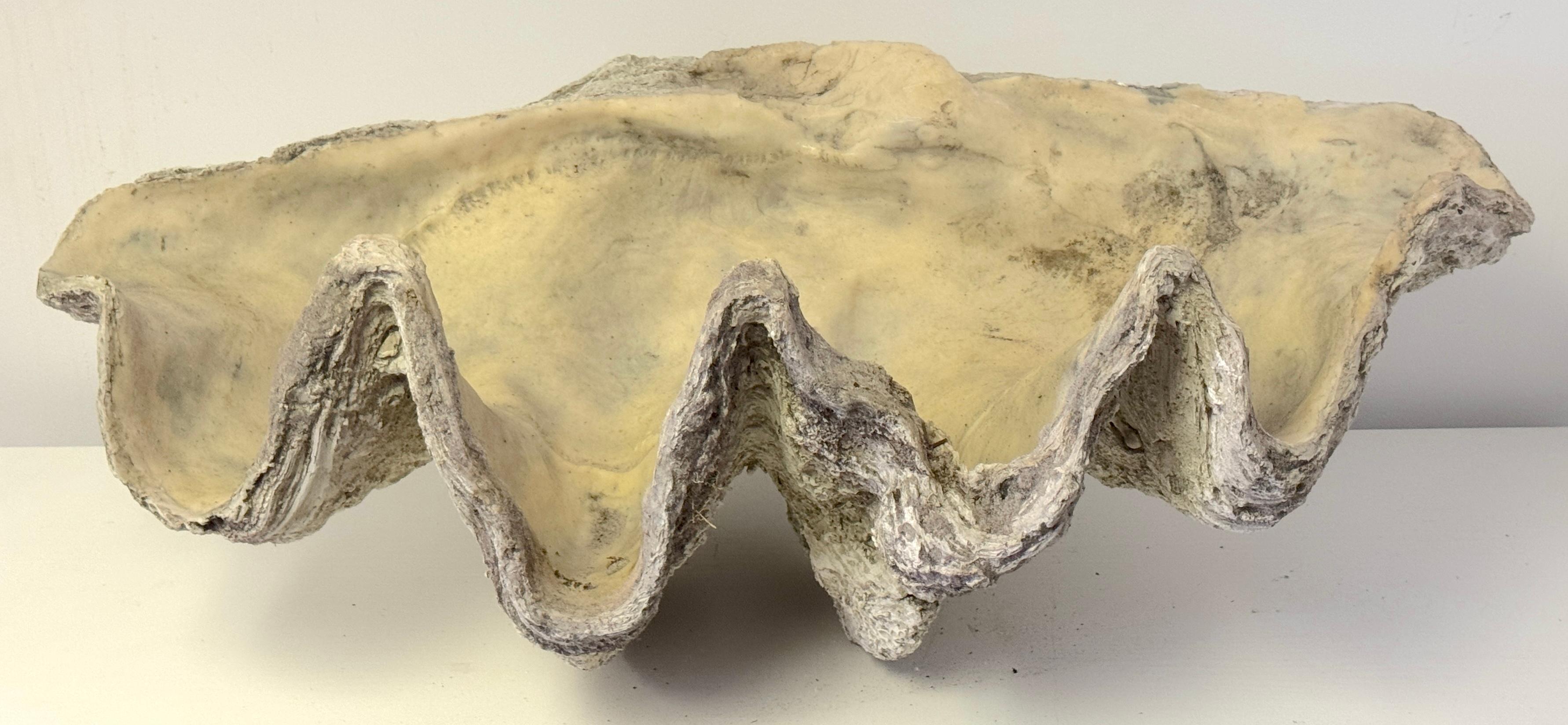 Monumental Faux Giant Clam Shell Fiberglass/Resin Authentic Weathered Patina 40