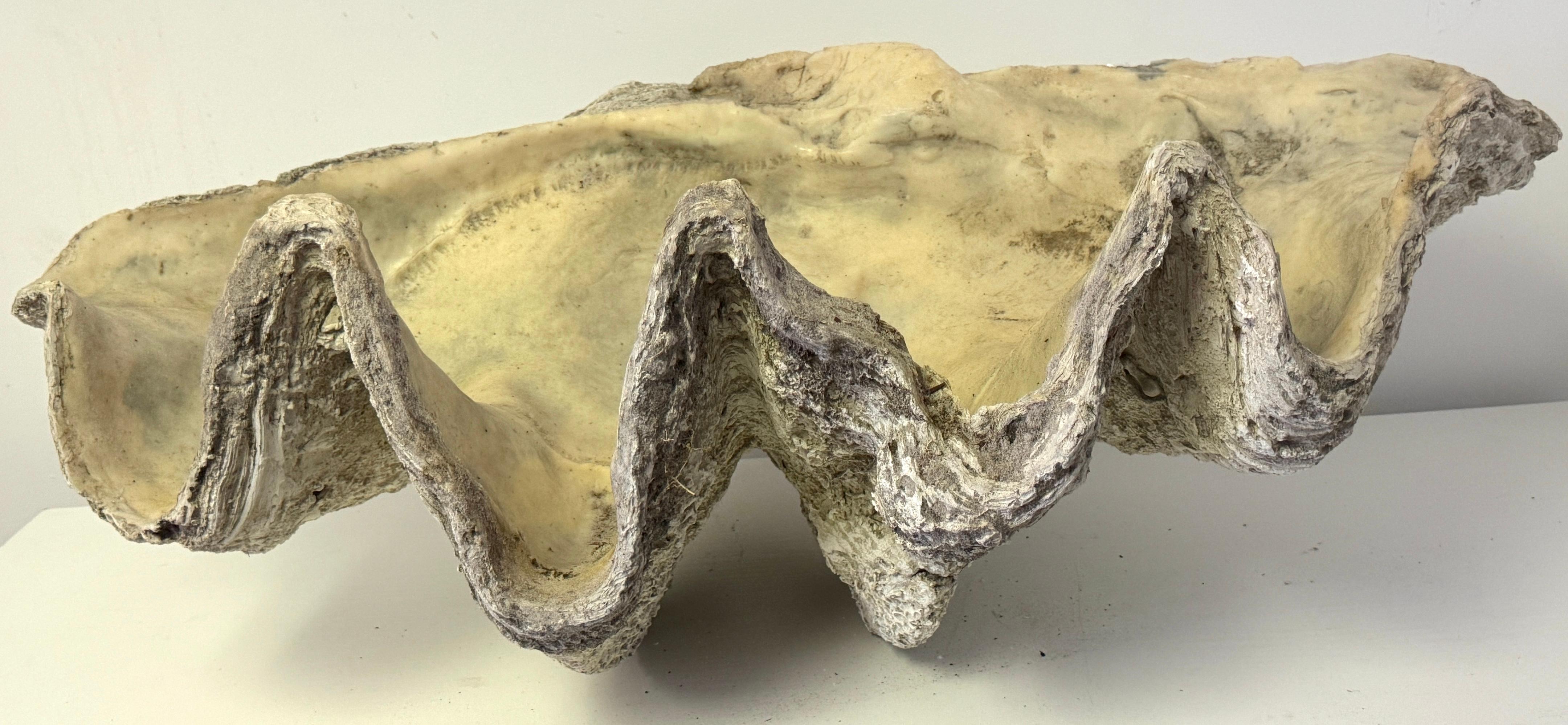 Monumental Faux Giant Clam Shell Fiberglass/Resin Authentic Weathered Patina 40