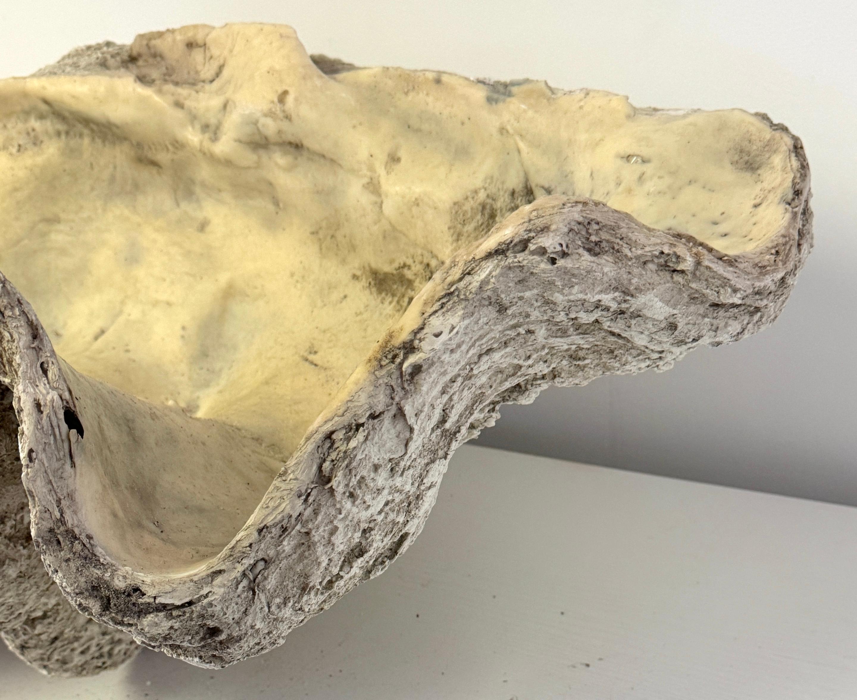 Cast Monumental Faux Giant Clam Shell Fiberglass/Resin Authentic Weathered Patina 40