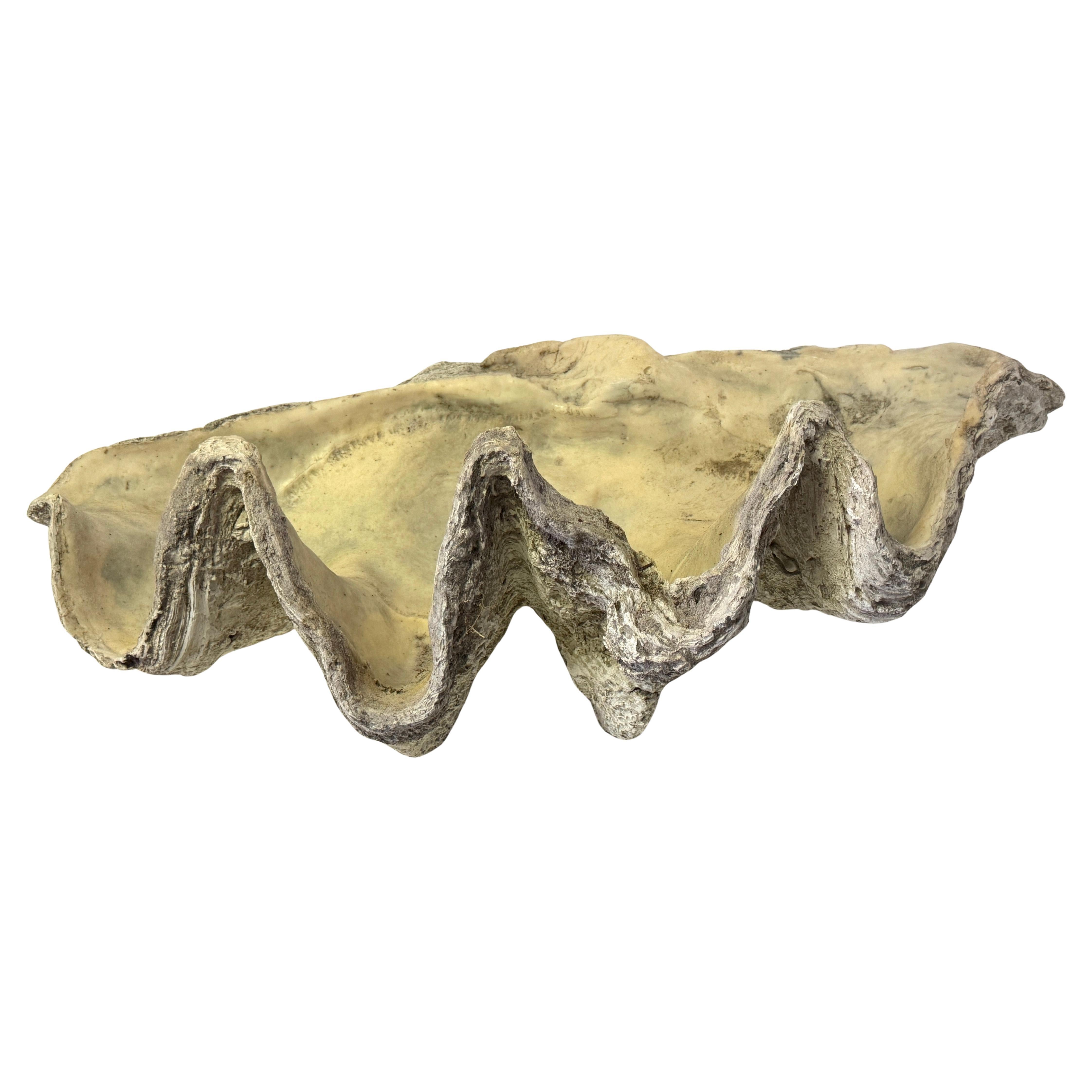 Monumental Faux Giant Clam Shell Fiberglass/Resin Authentic Weathered Patina 40" For Sale