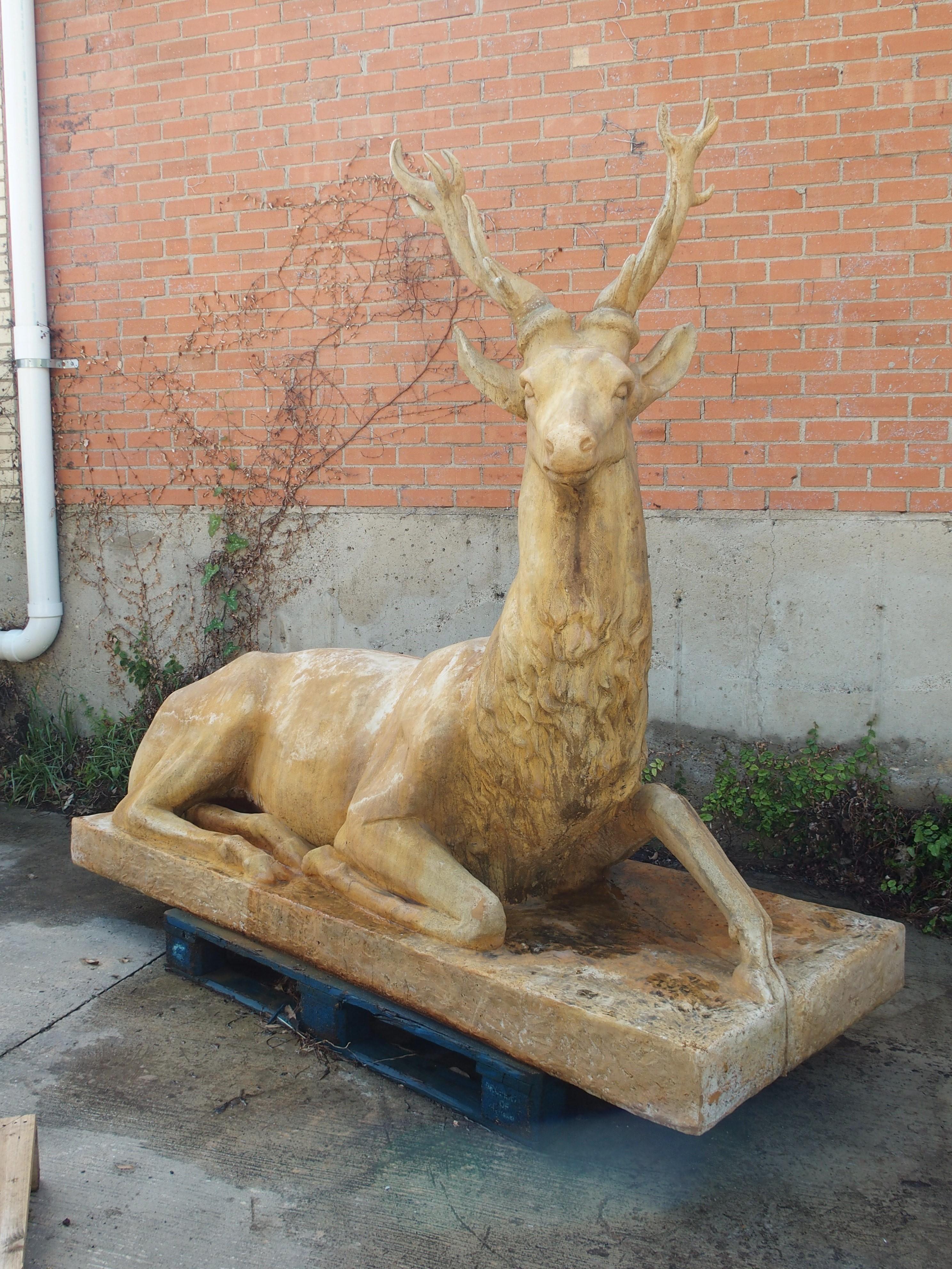 Monumental French Recumbent Garden Stag in Cast Stone 6