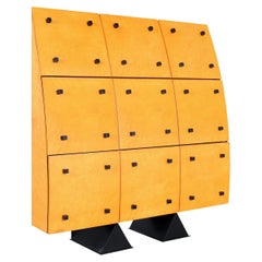 Birdseye Maple Cabinets