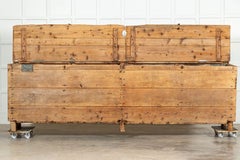 Monumental Georgian English Elm & Pine Grain Counter