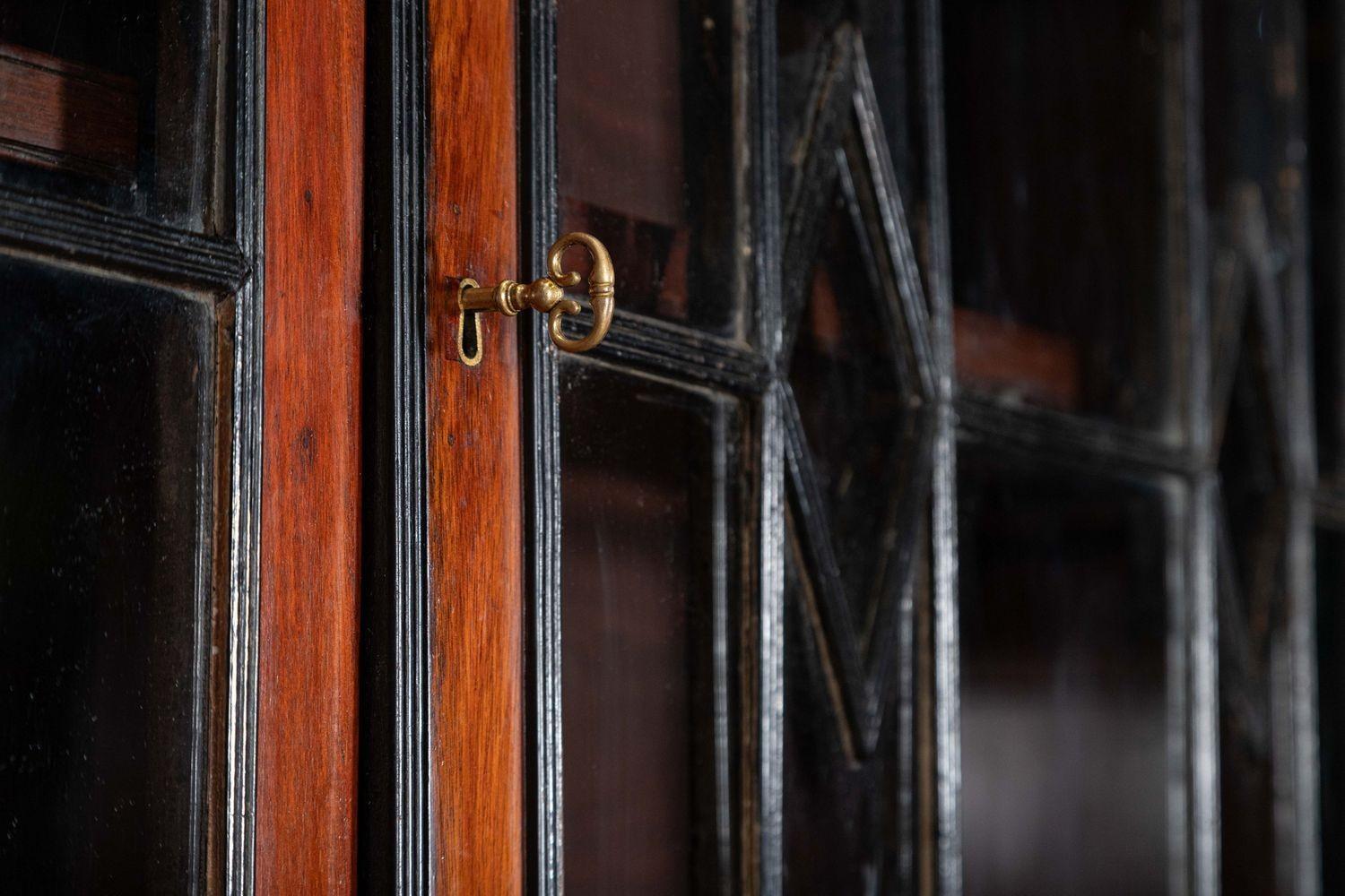 Monumentale bibliothèque géorgienne irlandaise en acajou ébonisé et à façade vitrée Astral en vente 8