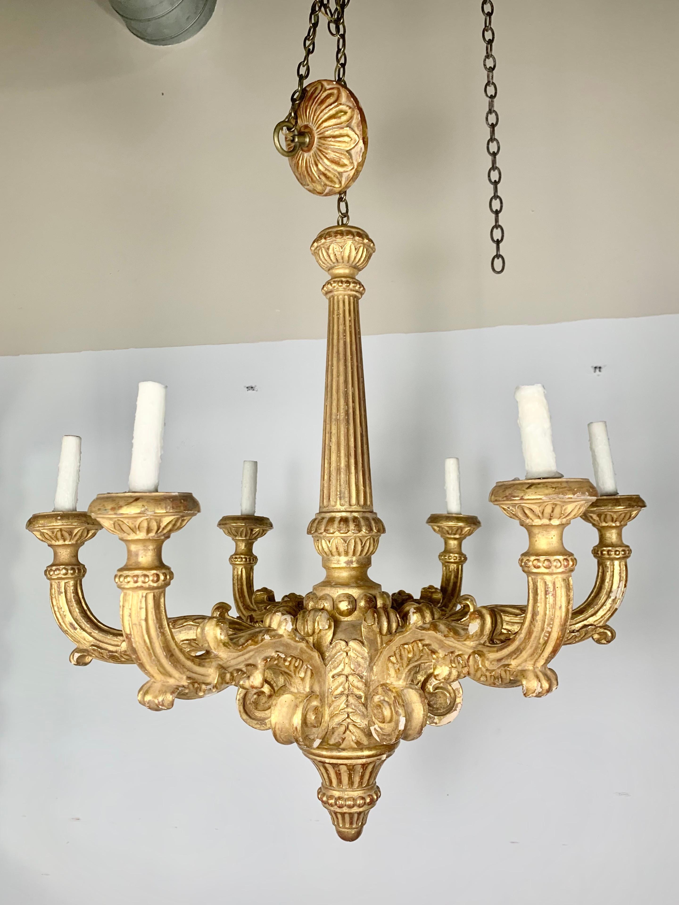 Eight light monumental gilt wood chandelier. The Italian carved wood piece is finished in a gold leaf throughout. The fixture is newly rewired and ready to intall with chain and original canopy.