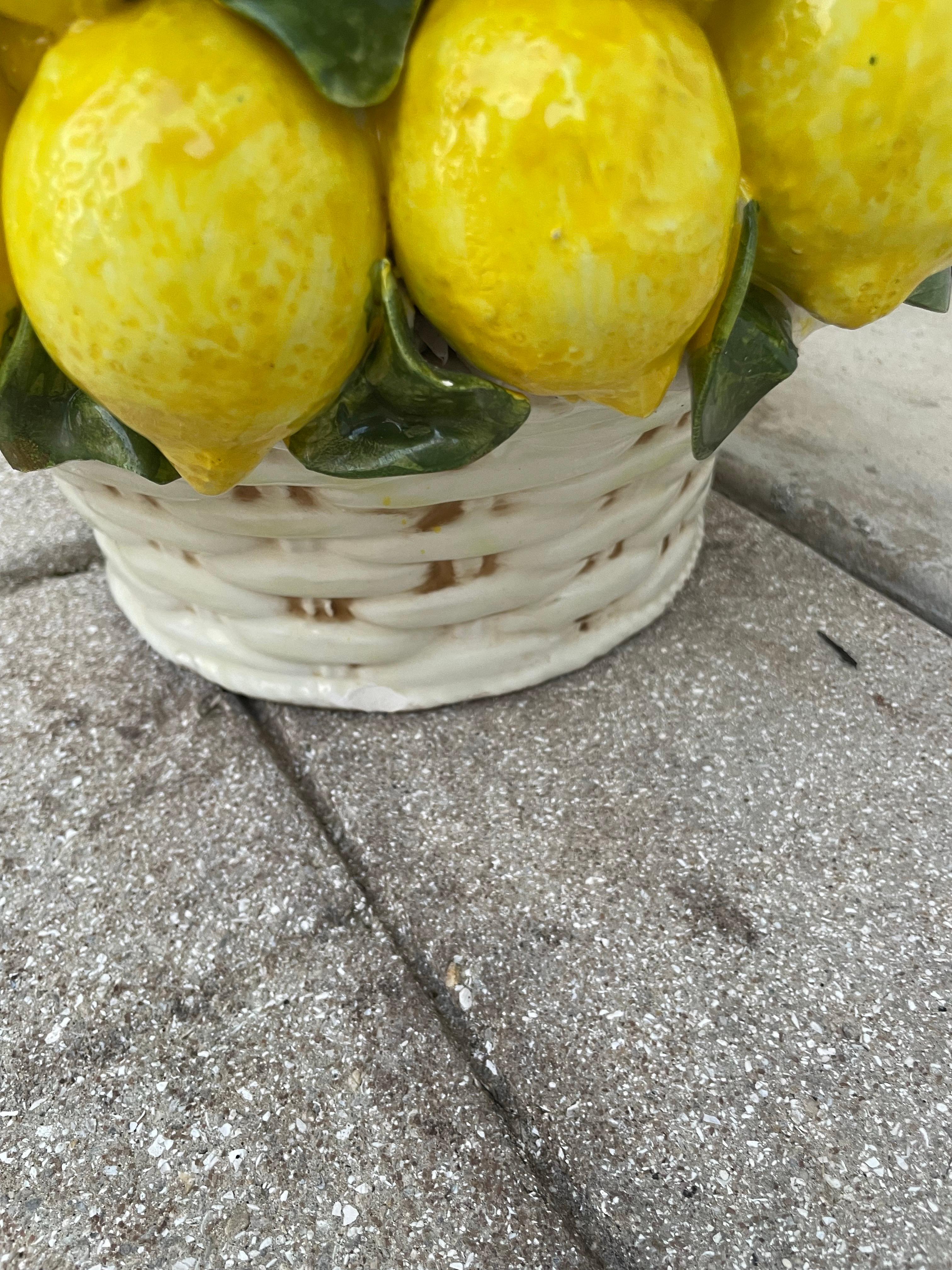 20th Century Monumental Italian Lemon Topiary For Sale