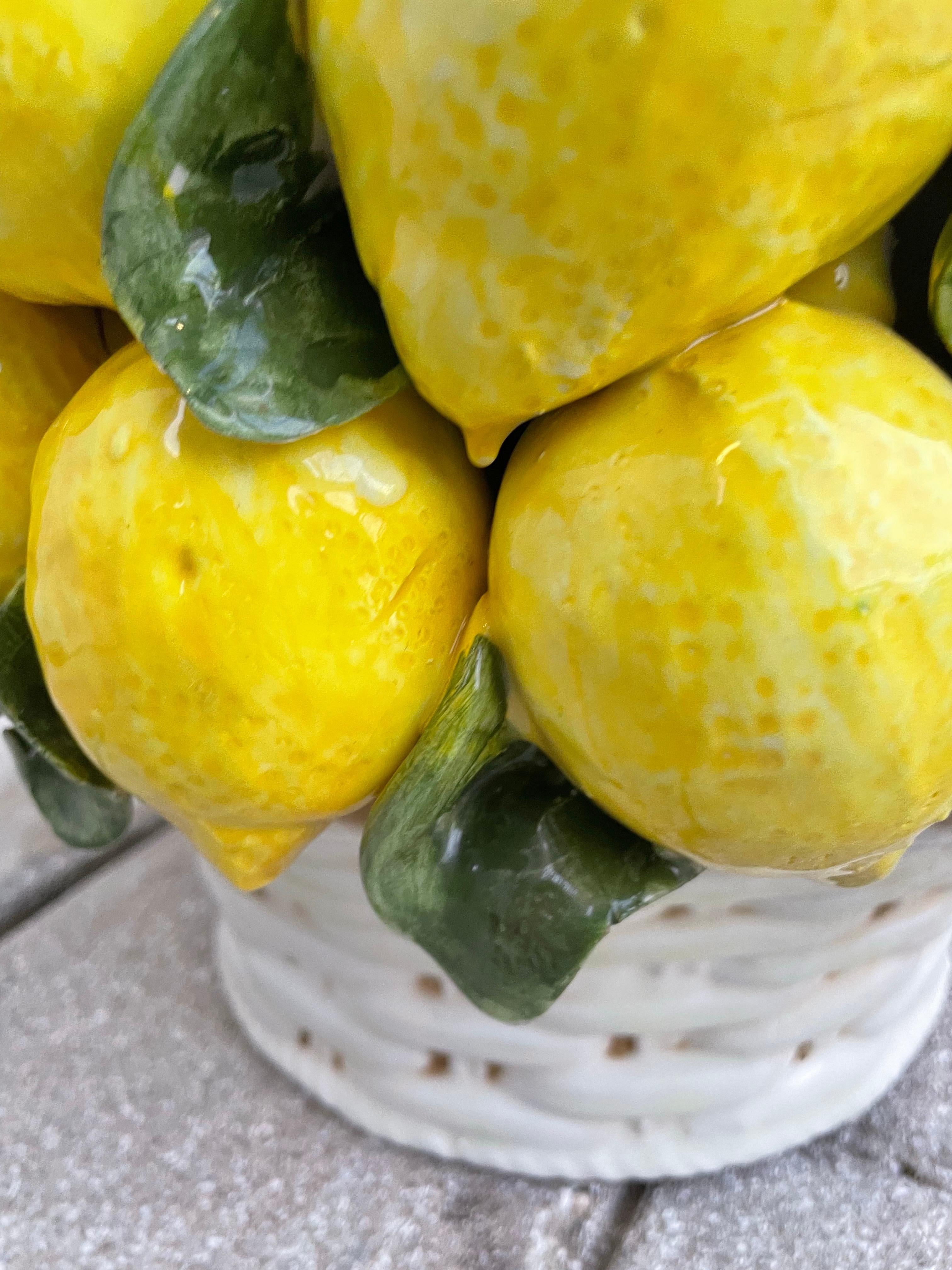 Monumental Italian Lemon Topiary For Sale 2