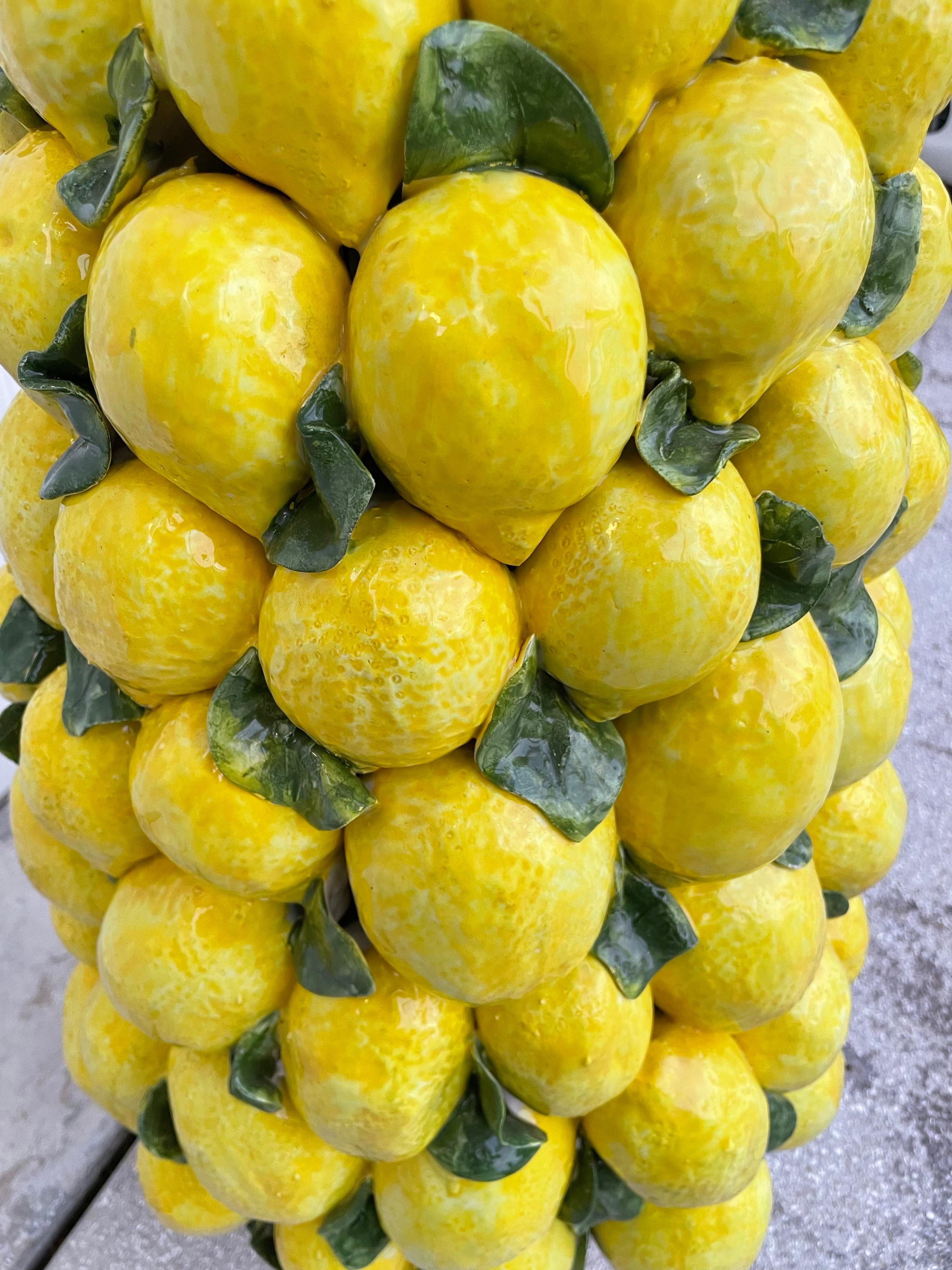 Monumental Italian Lemon Topiary For Sale 3