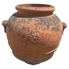 Monumental Italian Terracotta Grain Storage Jar, 1950s