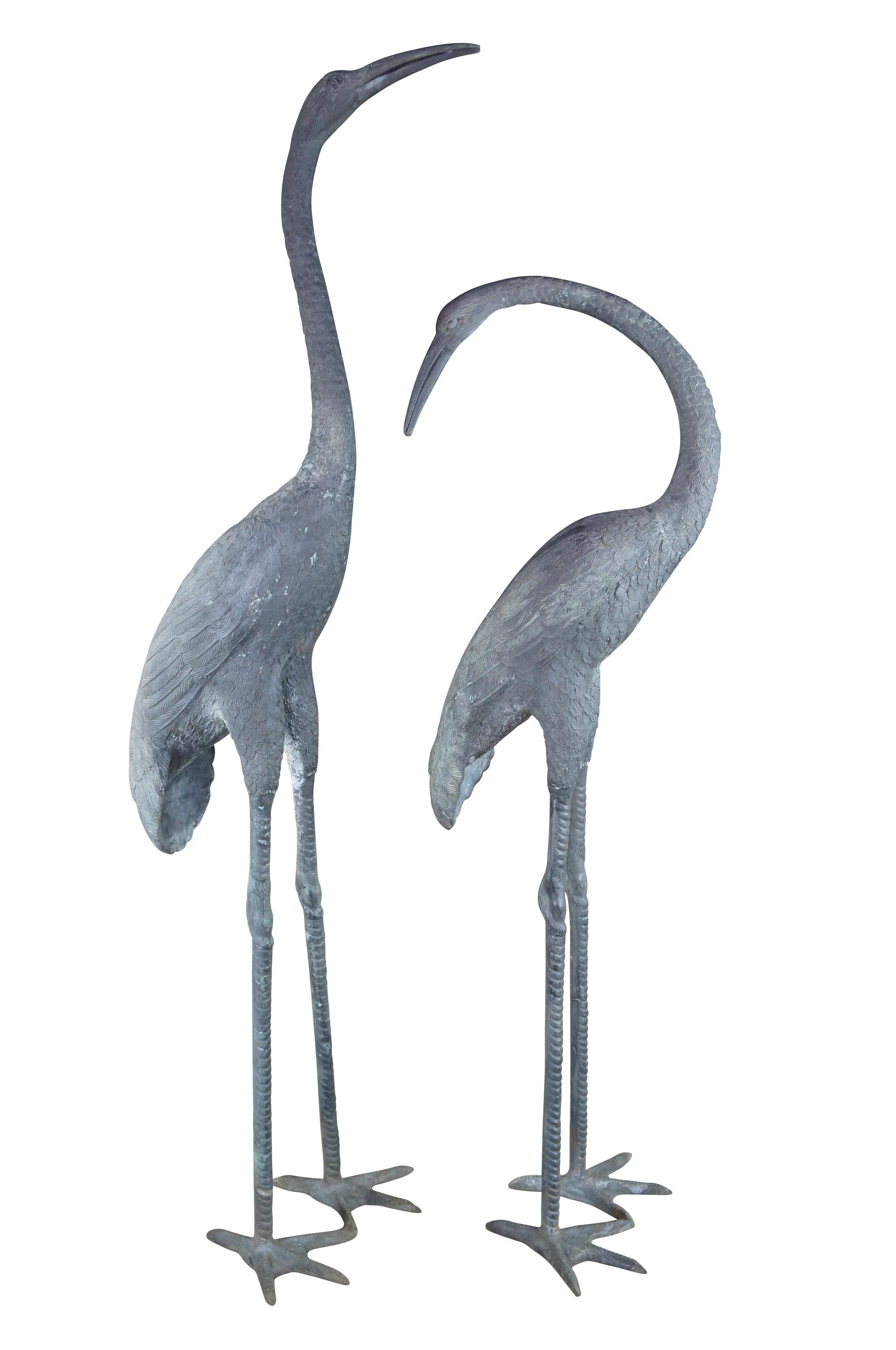 Mid century pair of giant Japanese master work cranes (tsuru 鶴).  Made of cast bronze featuring impressive life like design to the feathers, beaks and eyes, each with a unique expression and pose.

In Japan, the crane is one of the mystical or holy