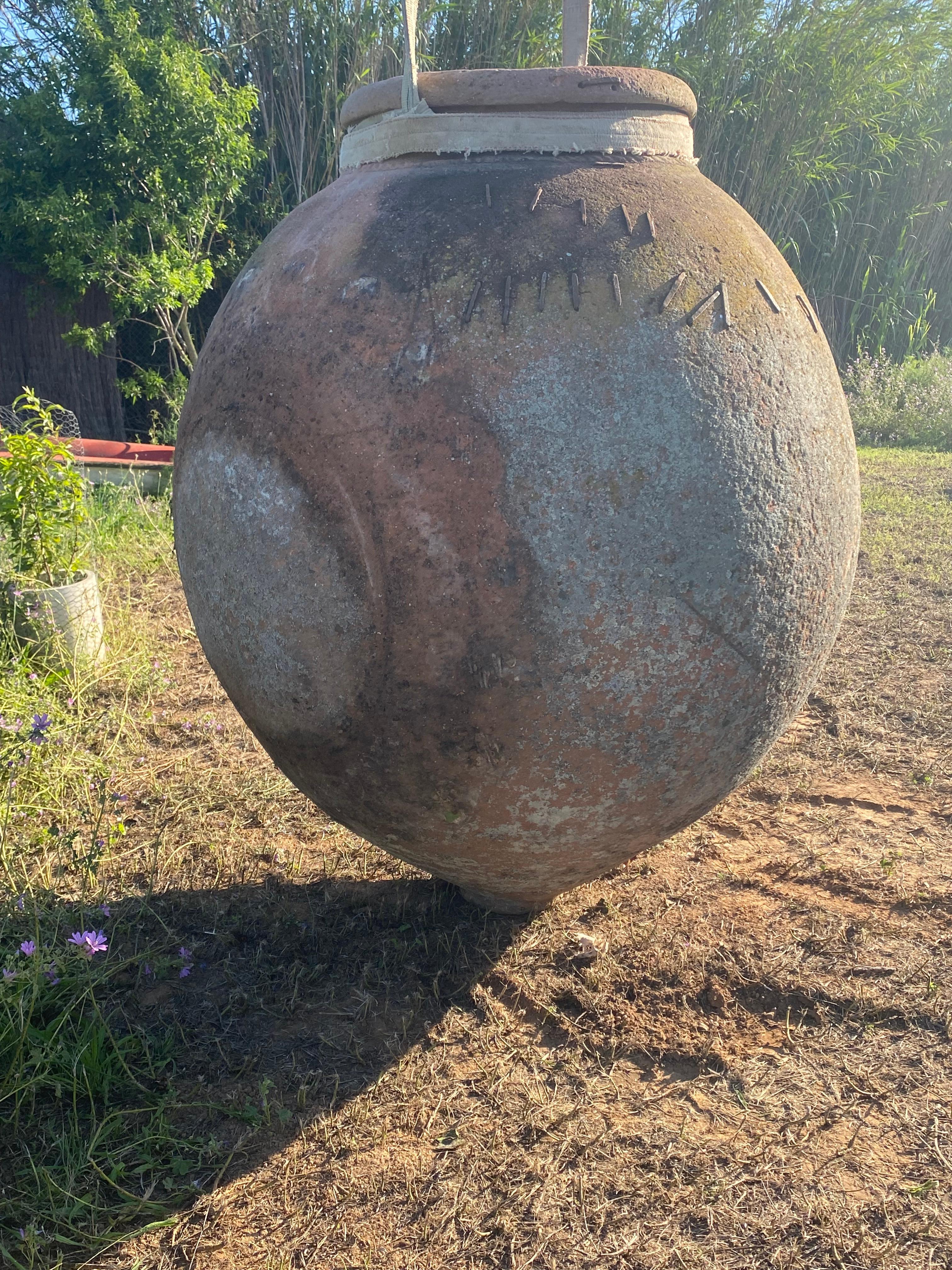 Vaso monumentale  XIX secolo in vendita 5