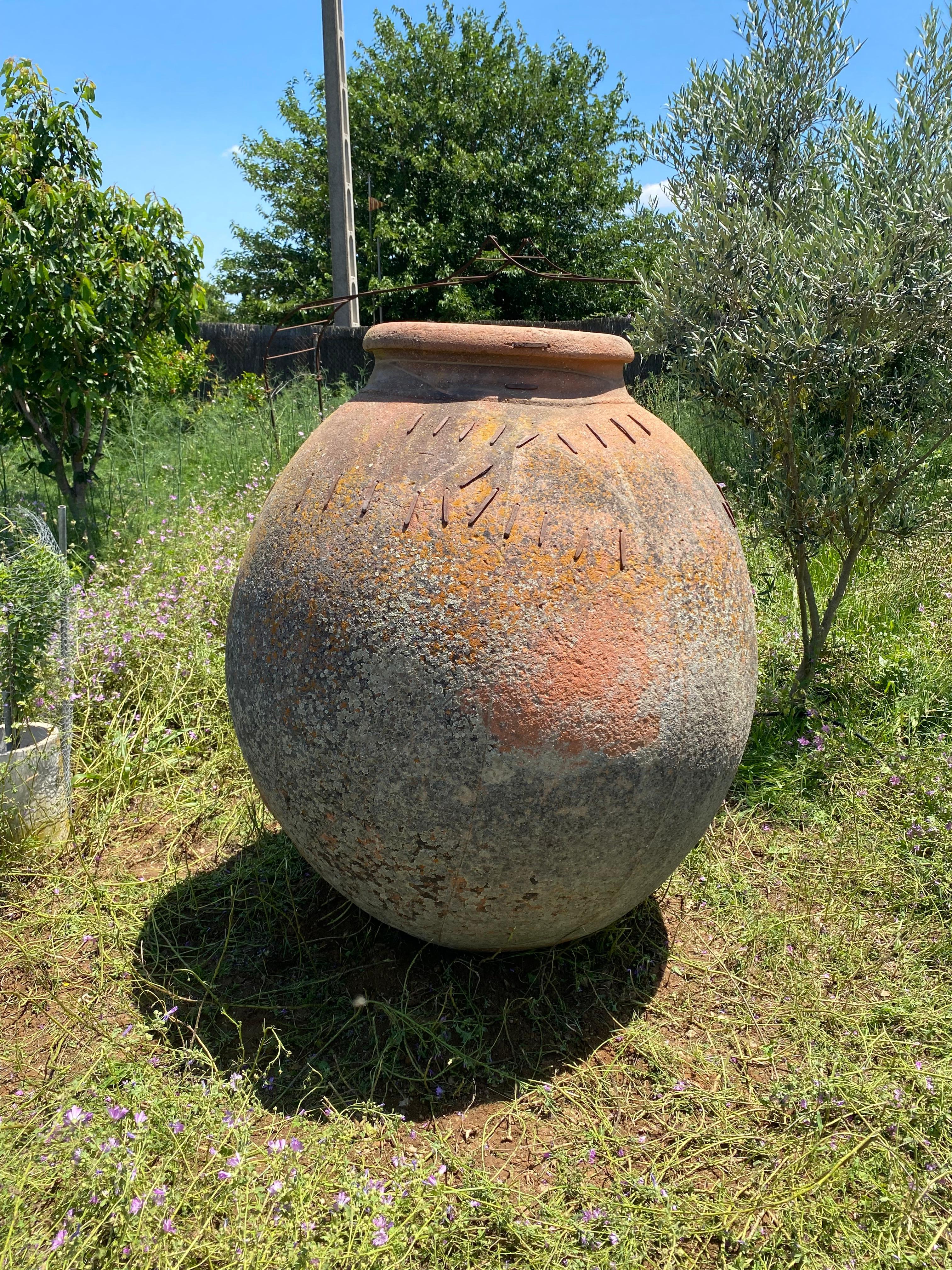 Vaso monumentale  XIX secolo in vendita 6