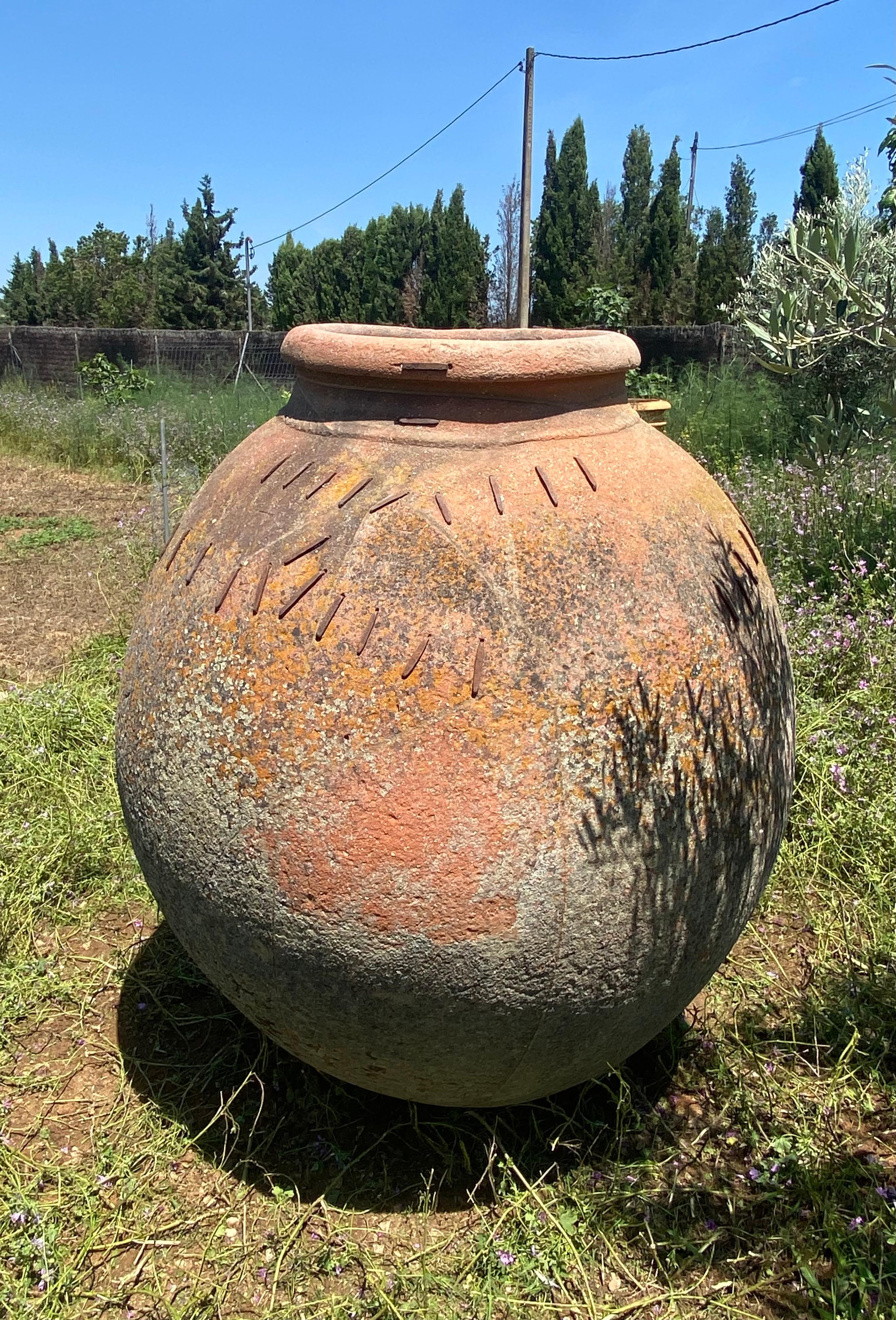 Spagnolo Vaso monumentale  XIX secolo in vendita