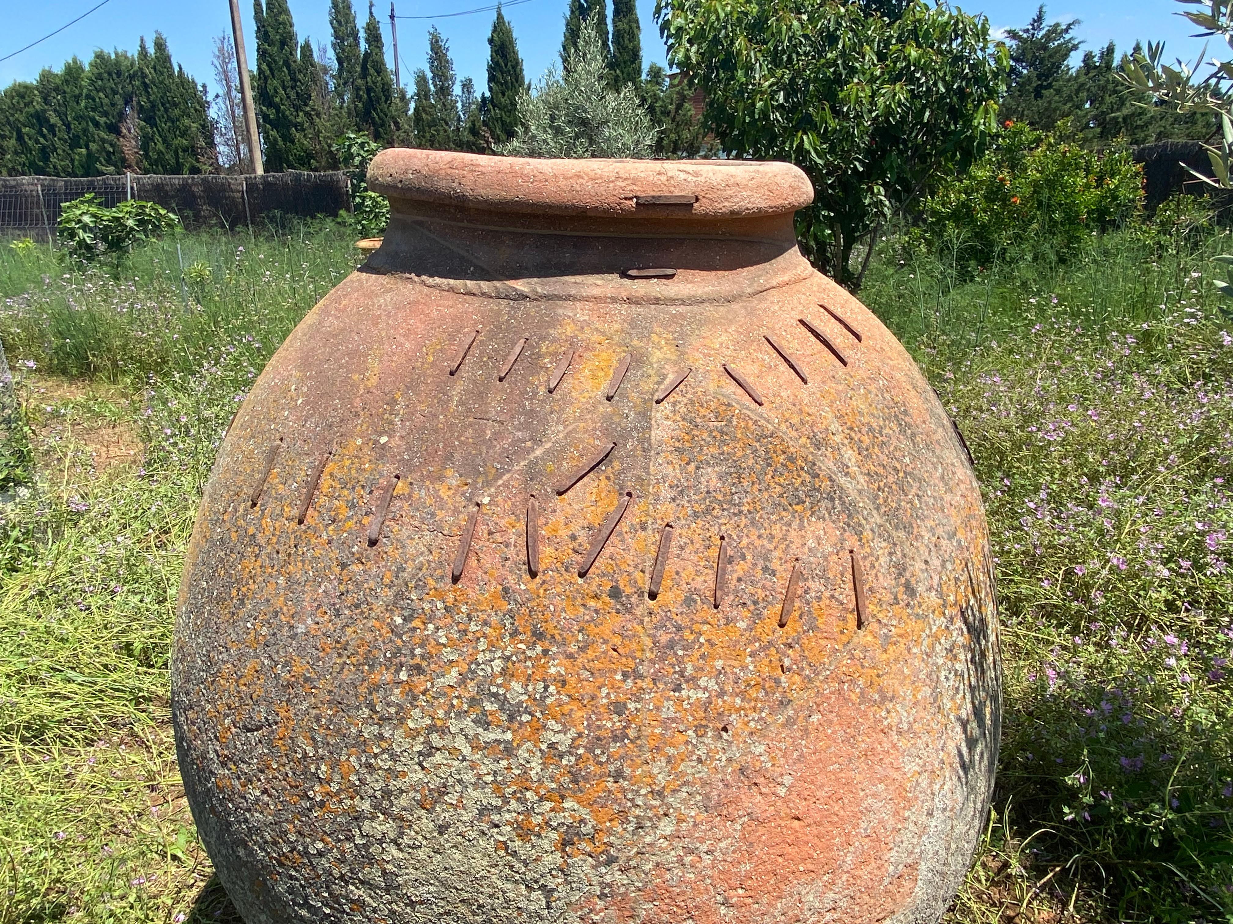 Vaso monumentale  XIX secolo In condizioni buone in vendita a SAN VICENTE DE ALCÁNTARA, ES