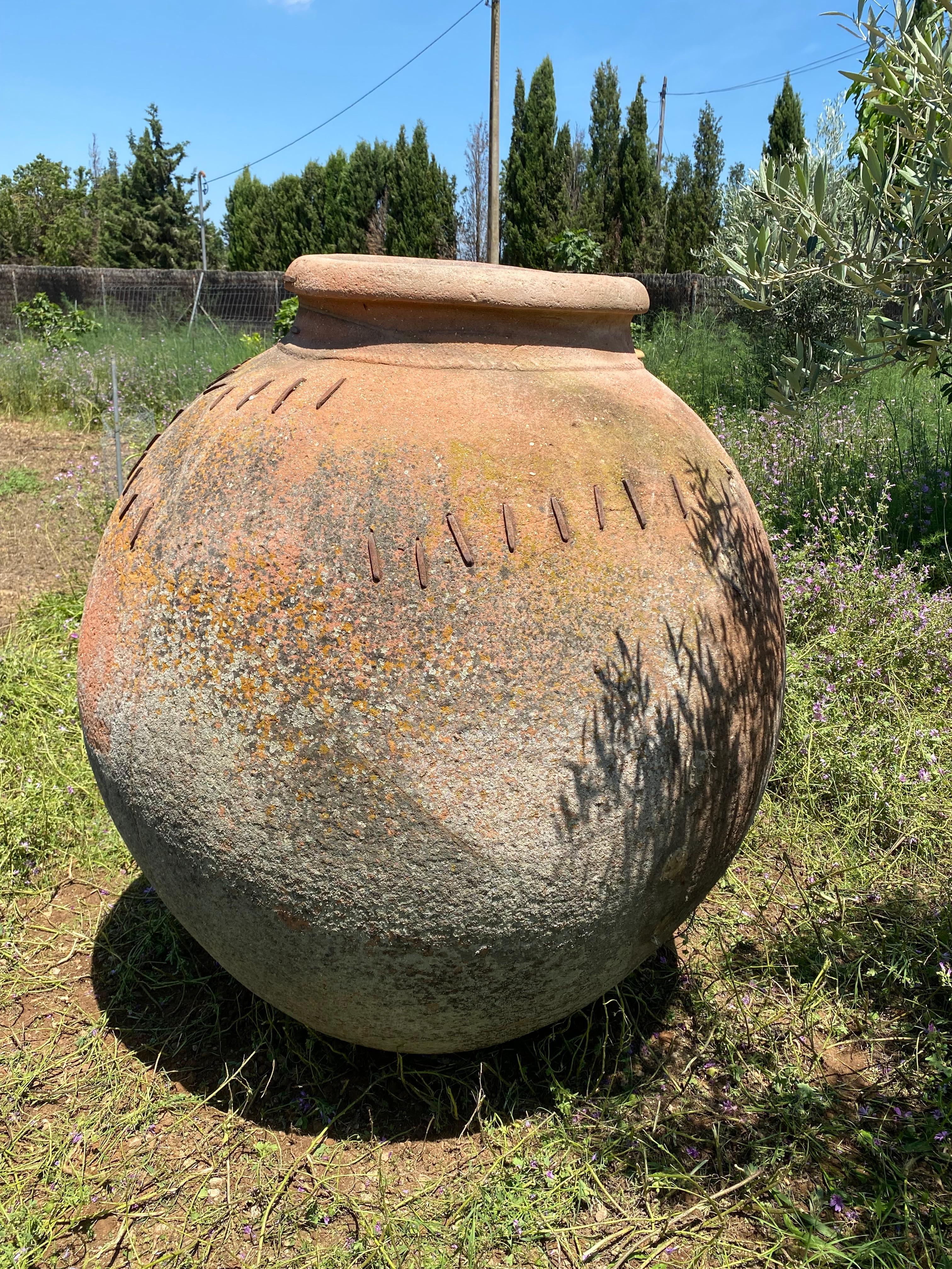Terracotta Vaso monumentale  XIX secolo in vendita