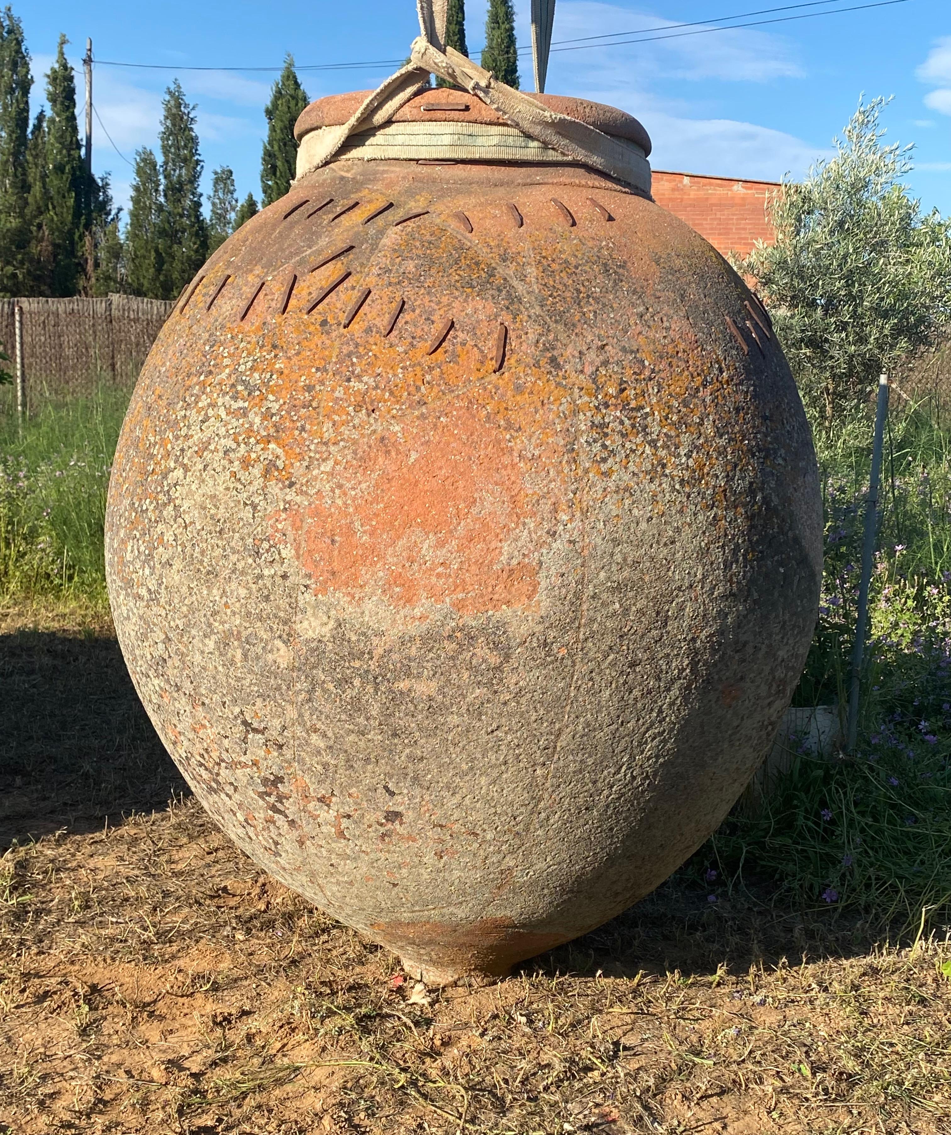 Vaso monumentale  XIX secolo in vendita 4