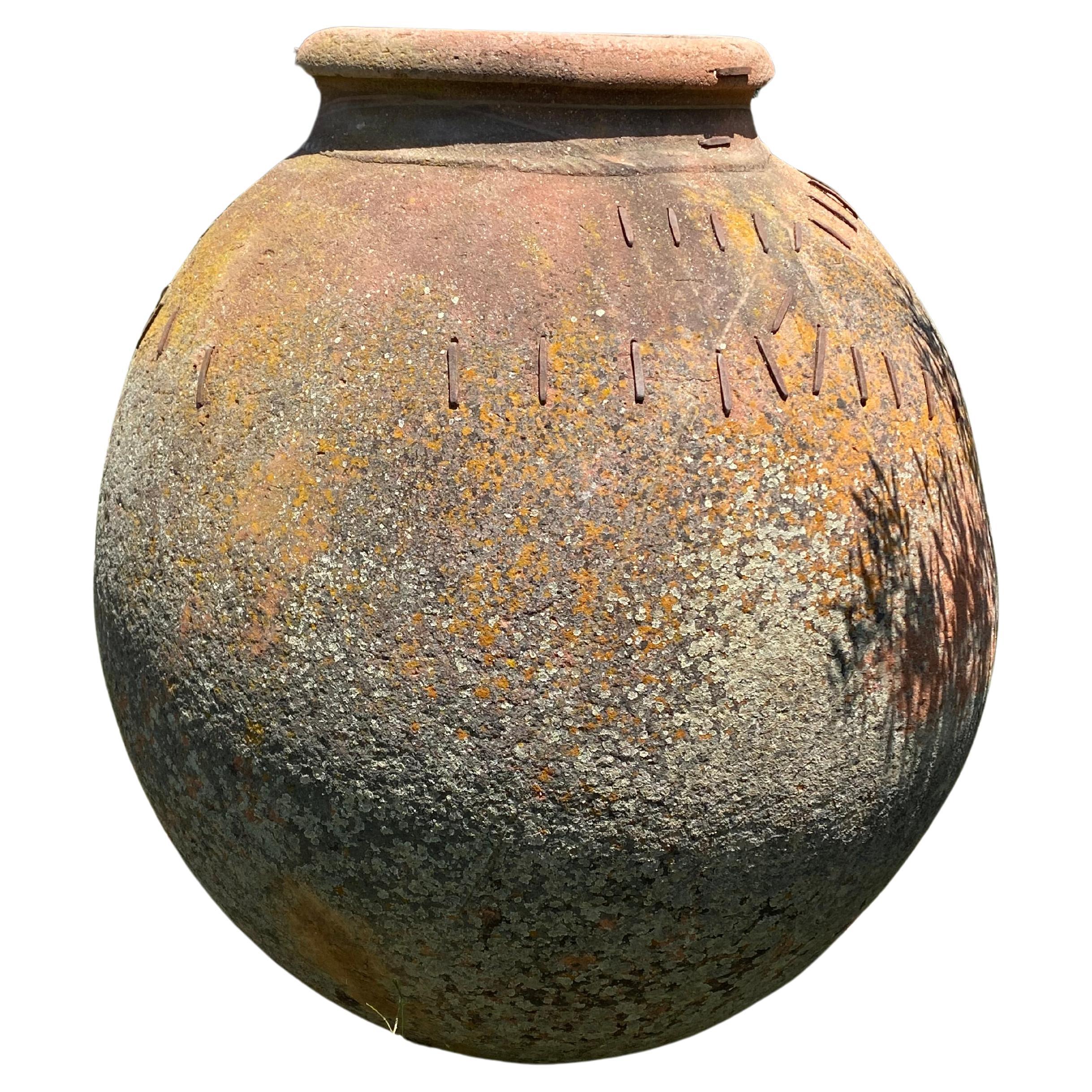 Vaso monumentale  XIX secolo in vendita