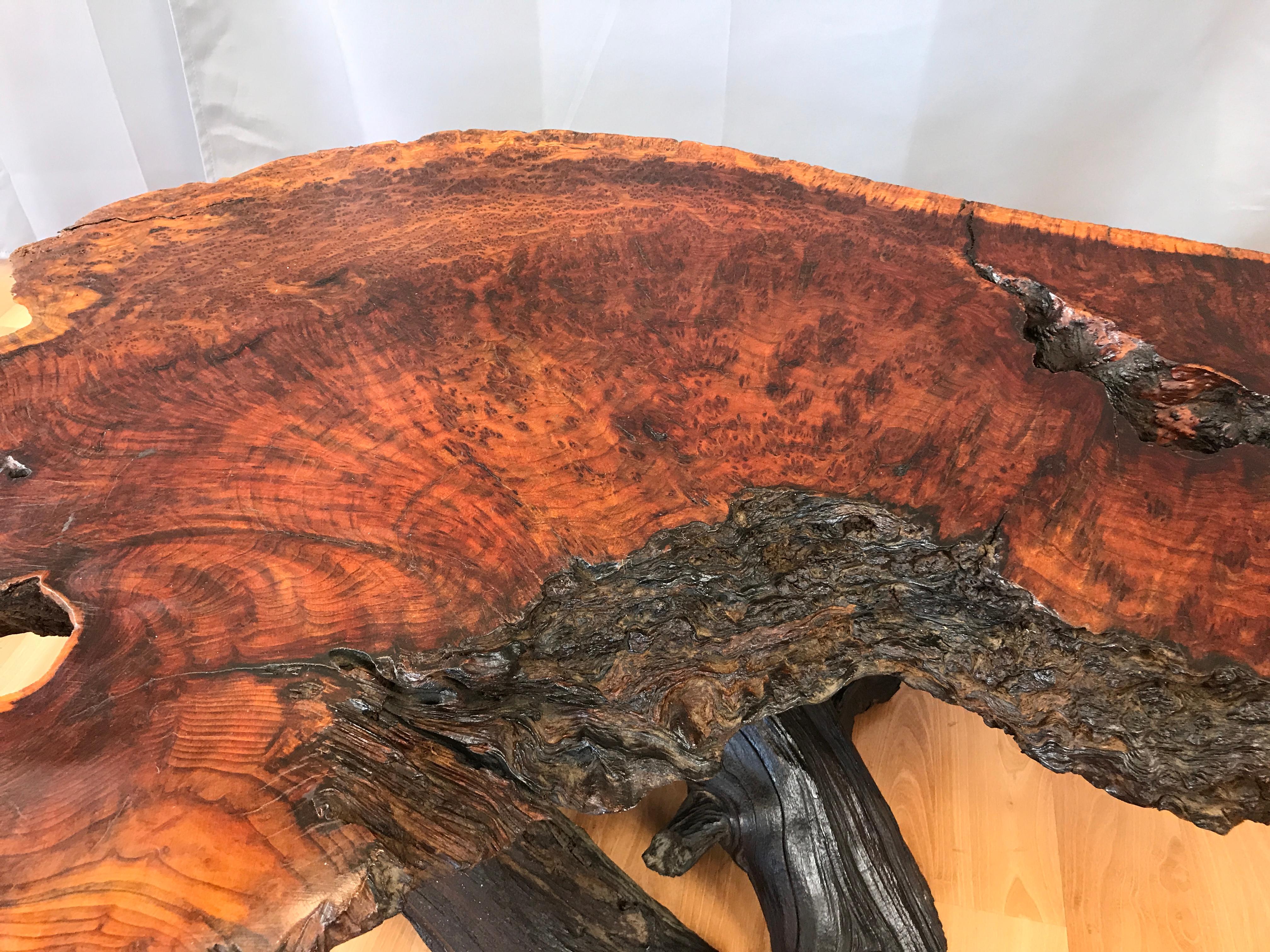 Monumental Live Edge Redwood Burl Coffee or Cocktail Table 2