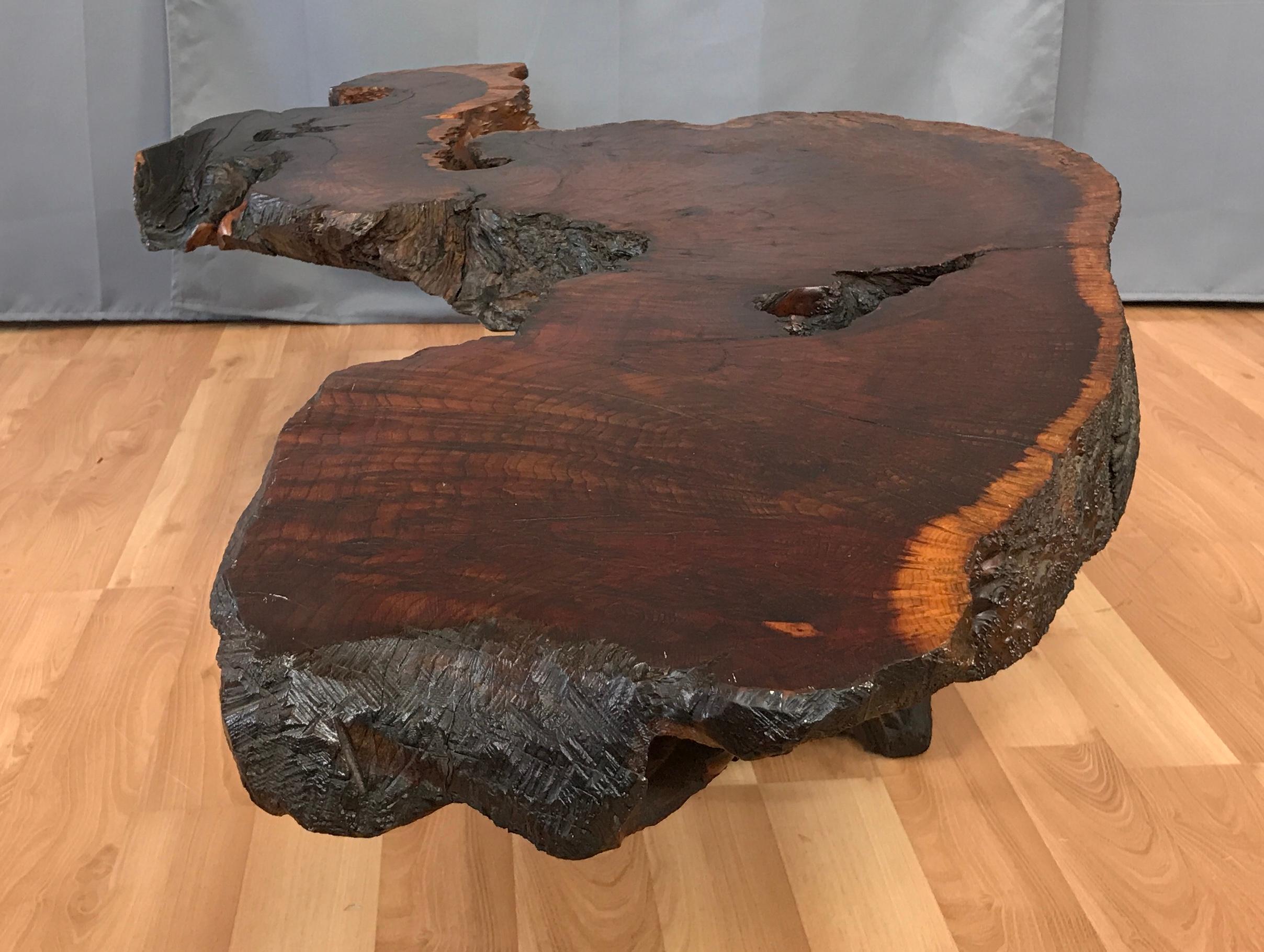 Monumental Live Edge Redwood Burl Coffee or Cocktail Table 4