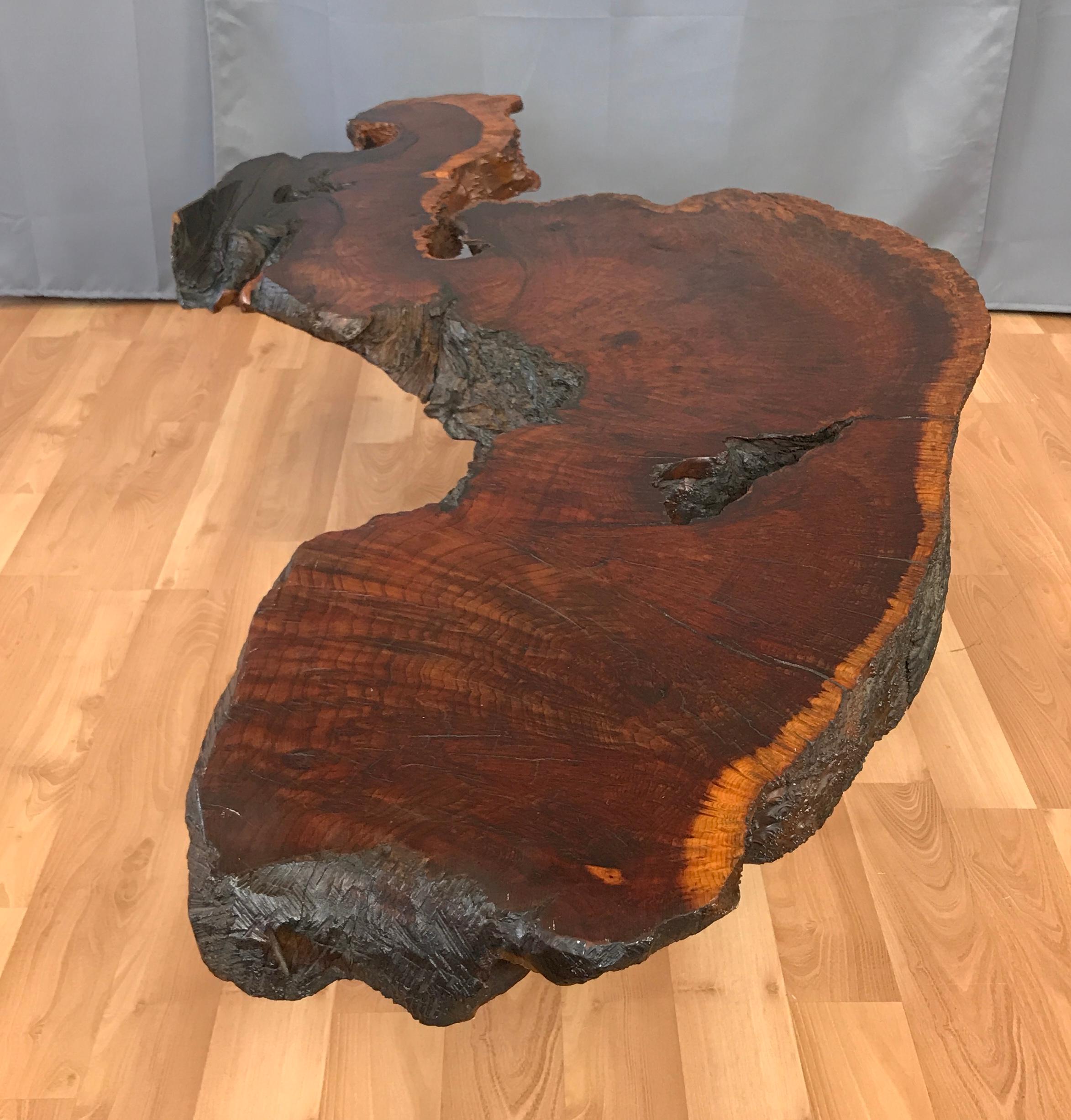 Monumental Live Edge Redwood Burl Coffee or Cocktail Table 5