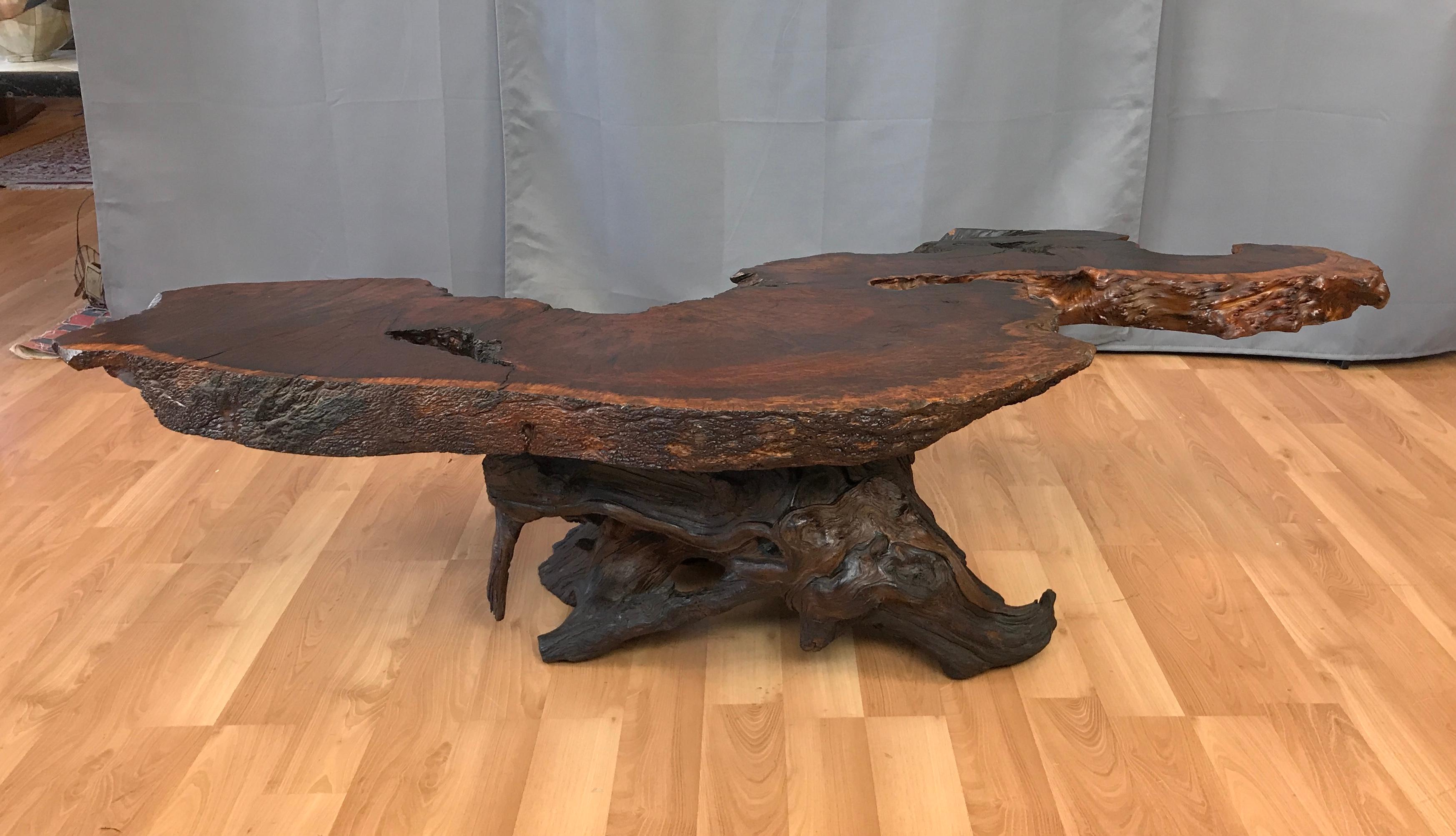 Monumental Live Edge Redwood Burl Coffee or Cocktail Table 6