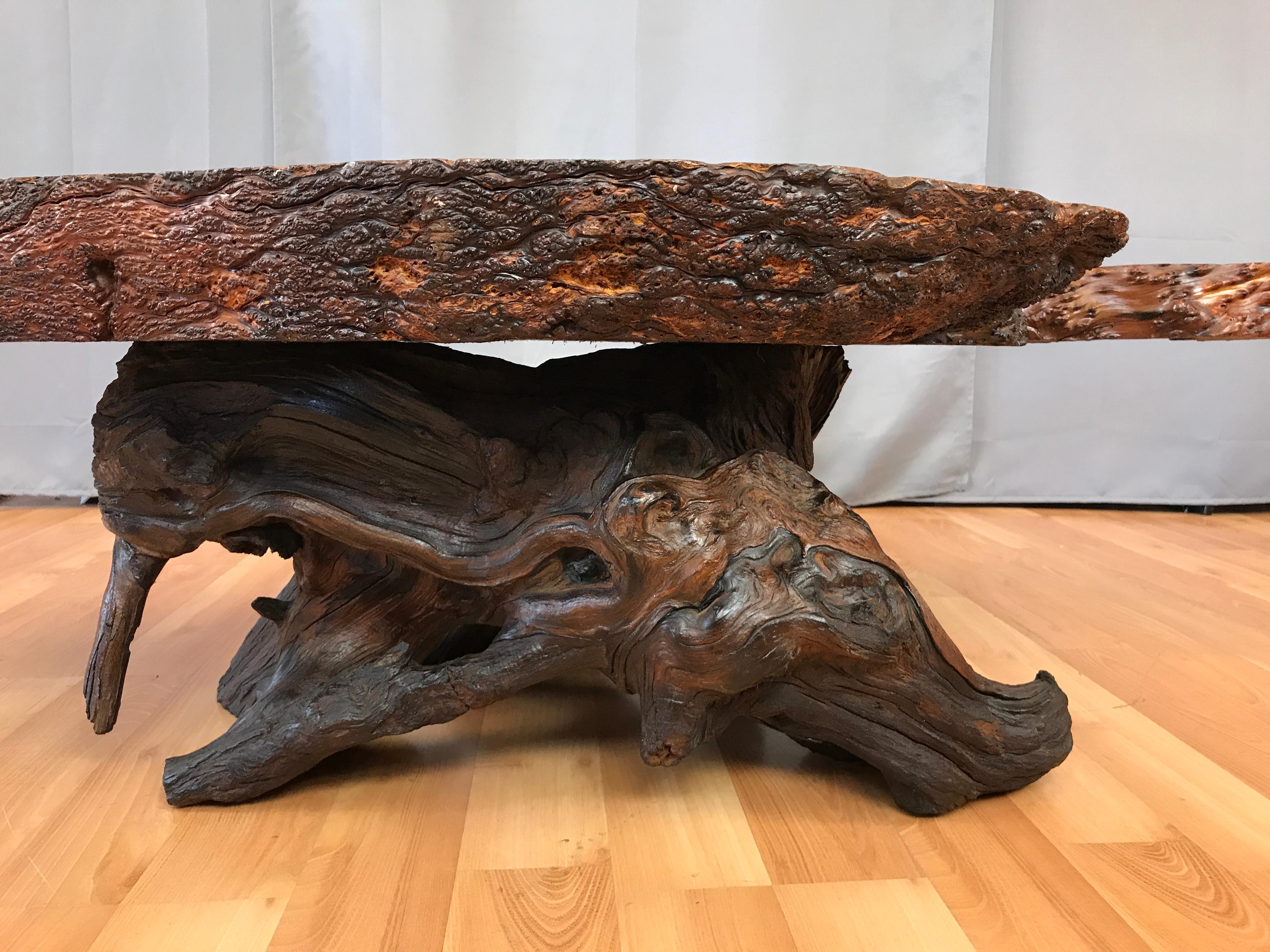 Monumental Live Edge Redwood Burl Coffee or Cocktail Table 7