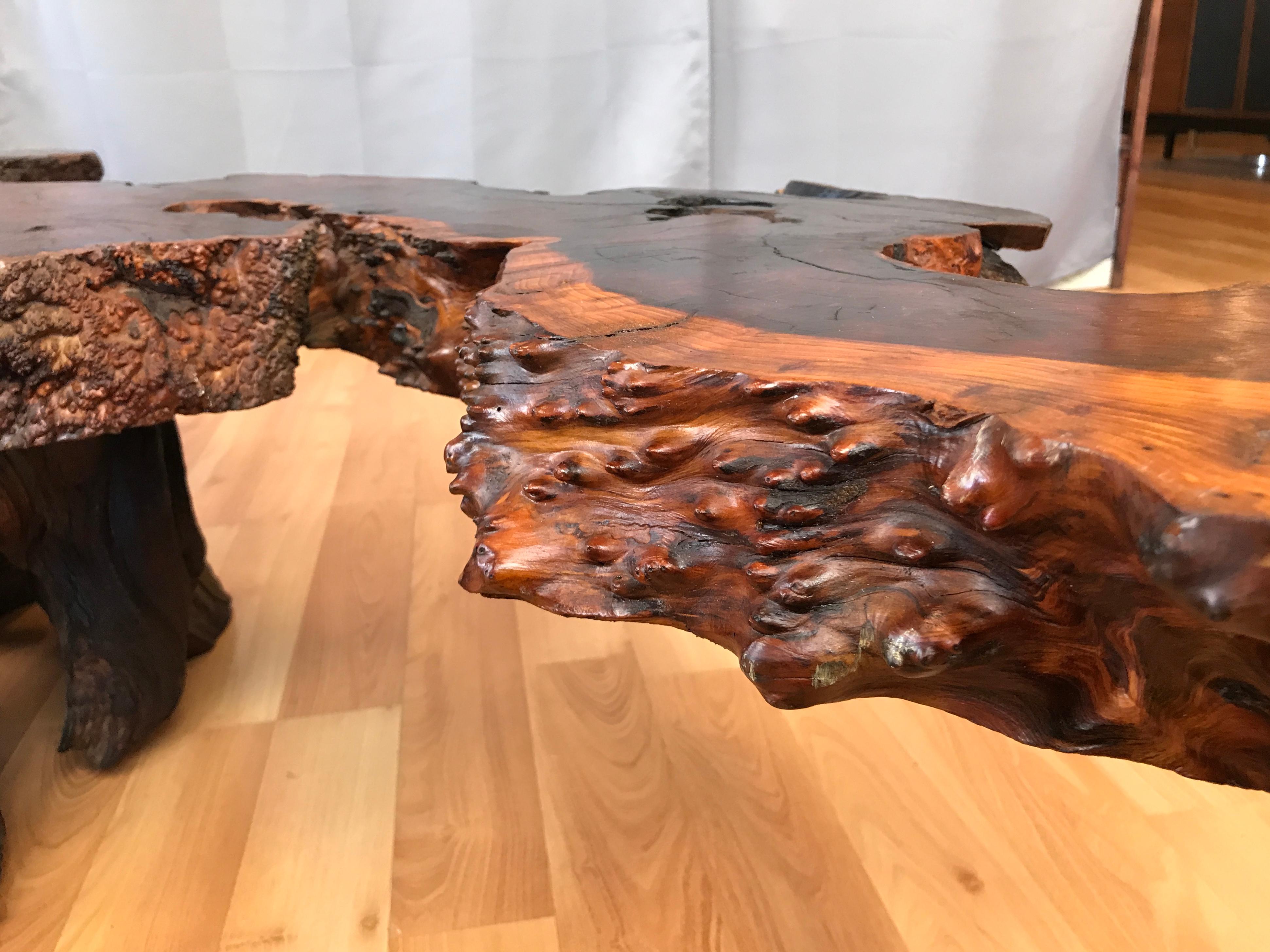 Monumental Live Edge Redwood Burl Coffee or Cocktail Table 9
