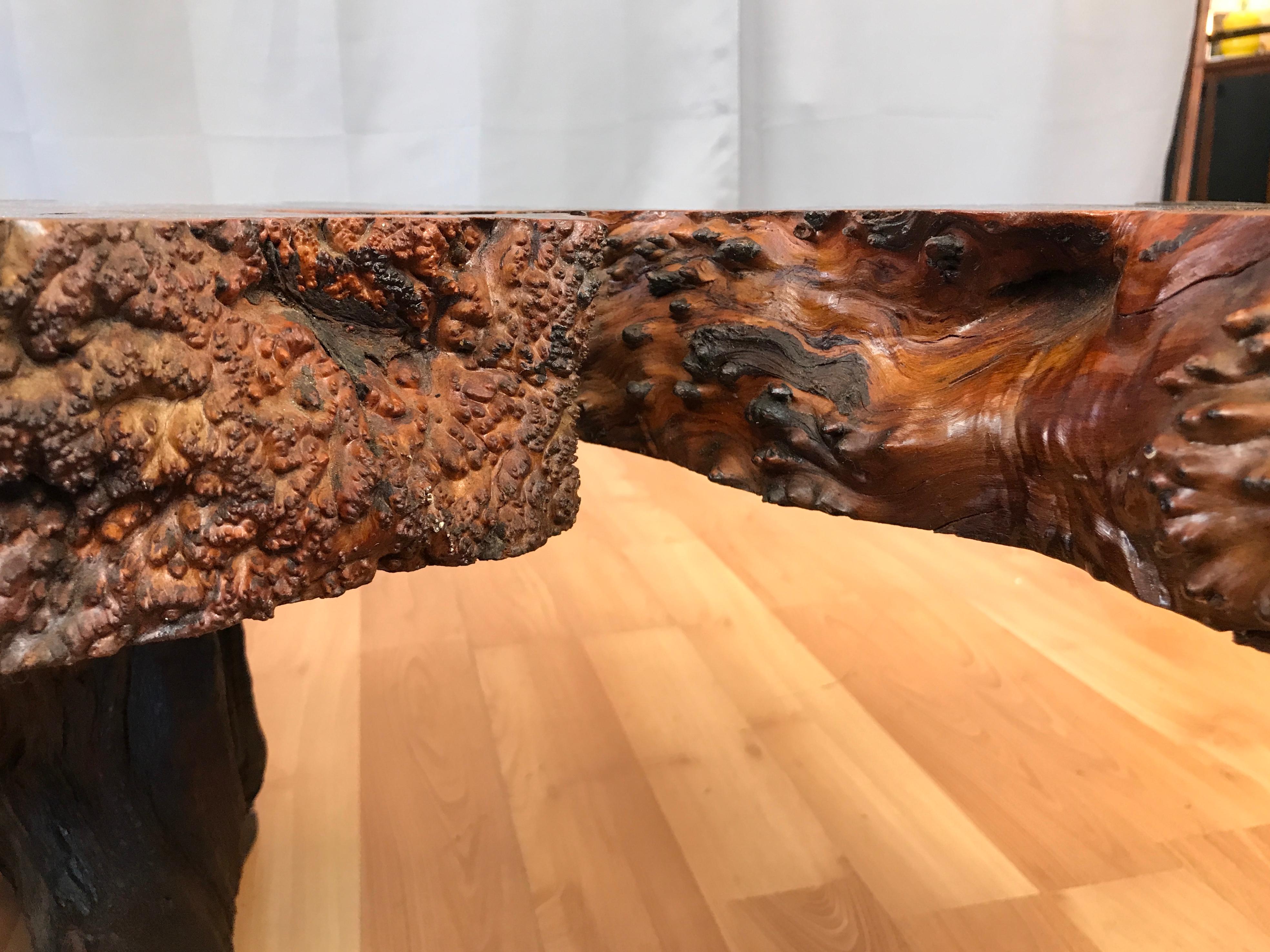Monumental Live Edge Redwood Burl Coffee or Cocktail Table 10