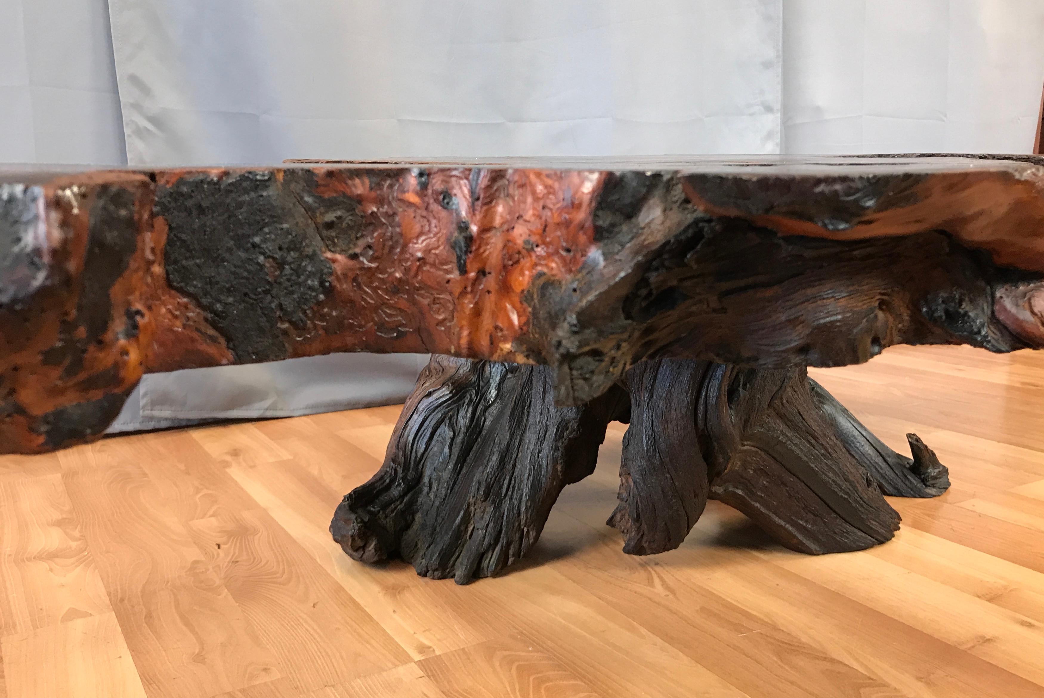 Monumental Live Edge Redwood Burl Coffee or Cocktail Table 11