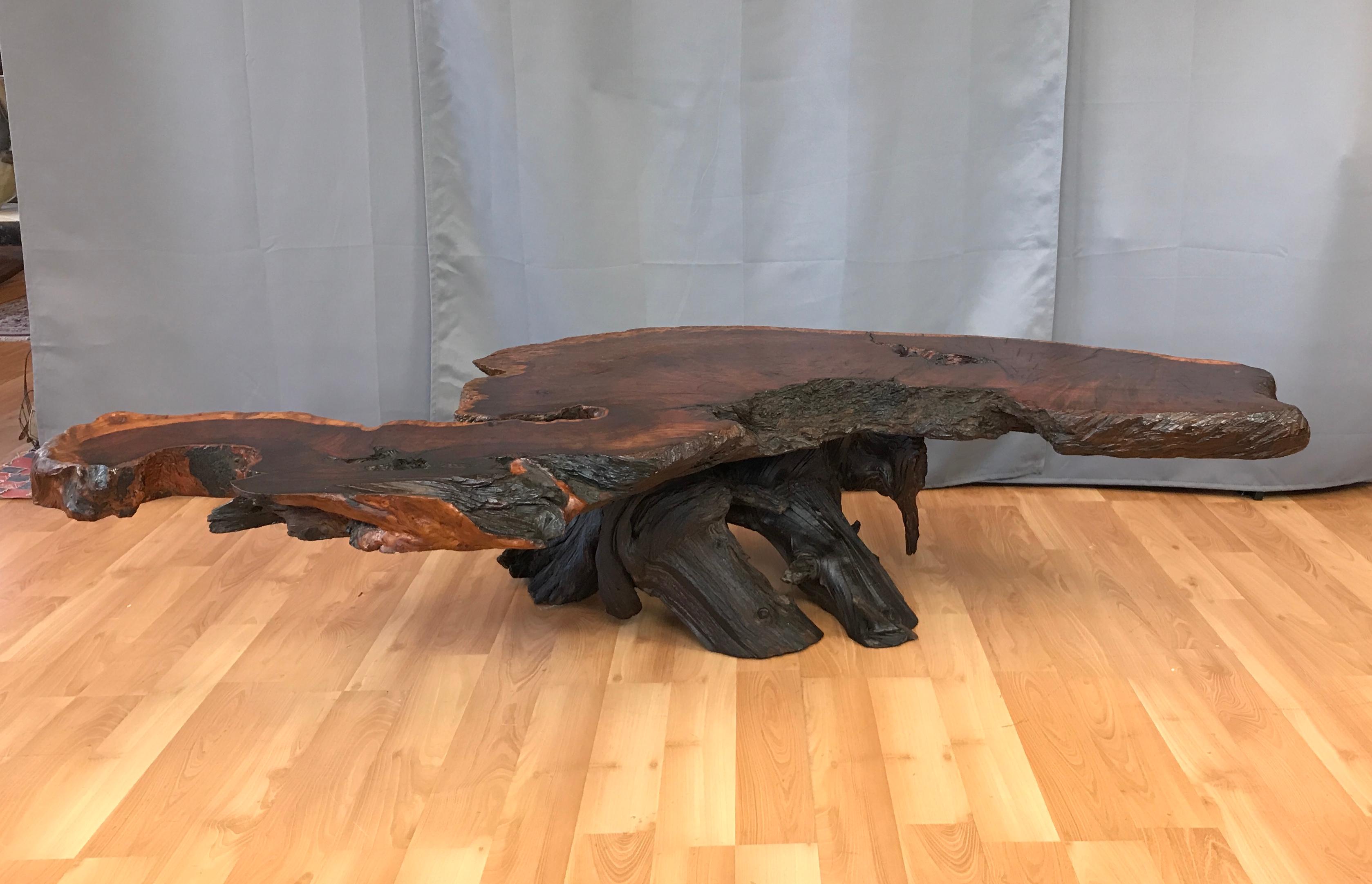 Very unique and rare circa late 1960s, monumental Redwood live edge burl coffee or cocktail table. This would make a nice focal point in the room.
With a width so large, it's like the wingspan of a California Condor. Has wonderful colors and grains