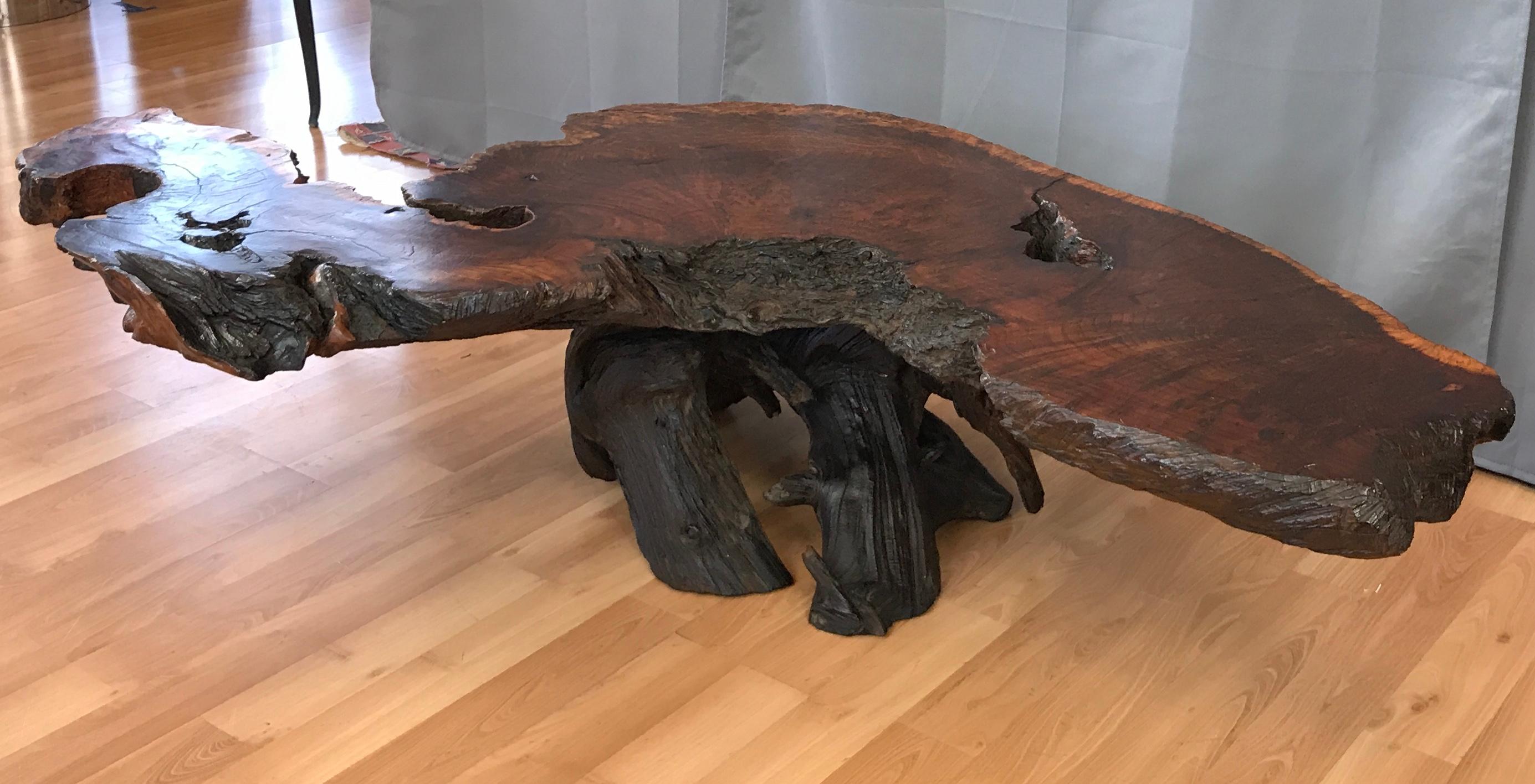 Mid-20th Century Monumental Live Edge Redwood Burl Coffee or Cocktail Table