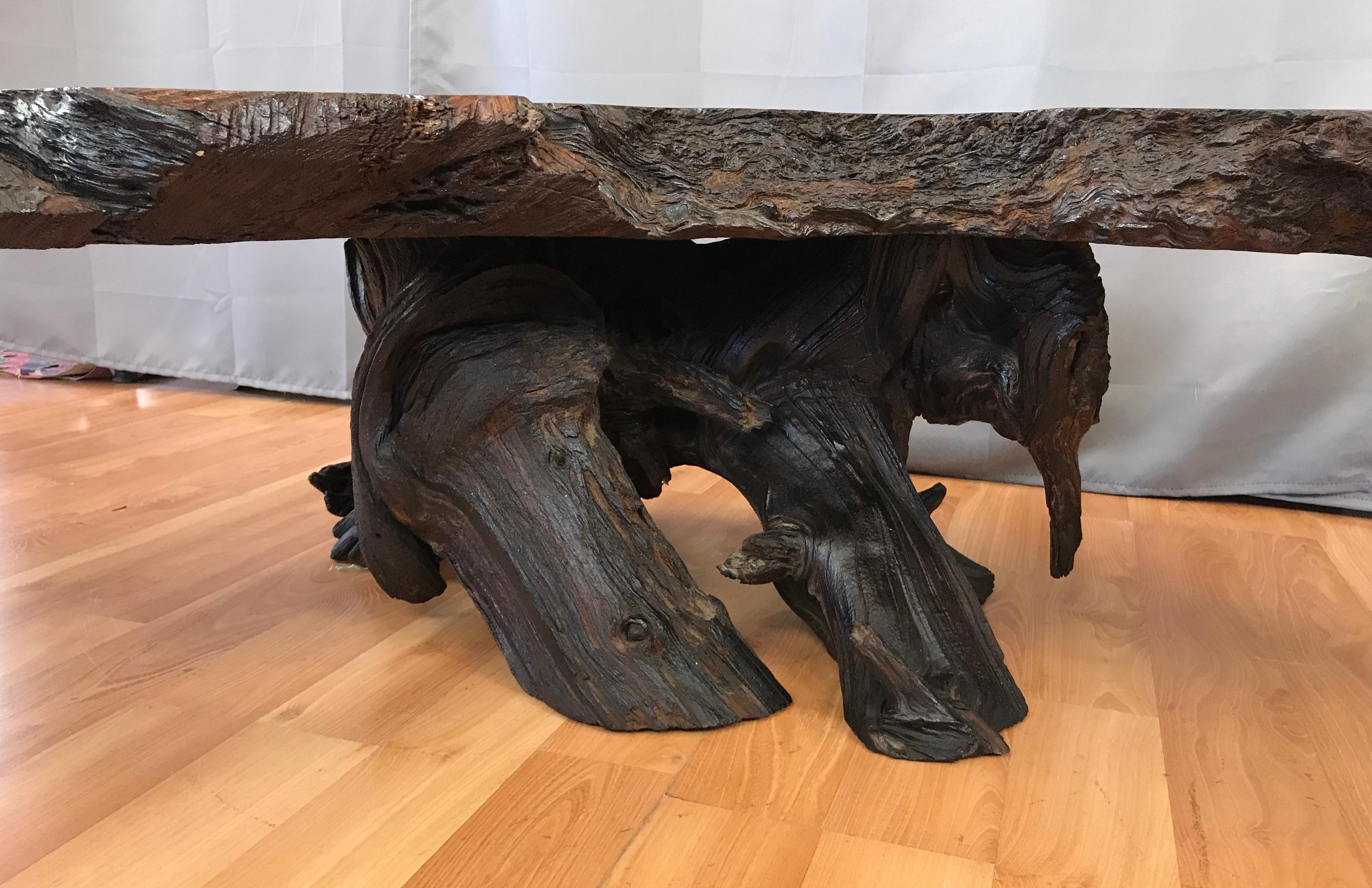 Wood Monumental Live Edge Redwood Burl Coffee or Cocktail Table